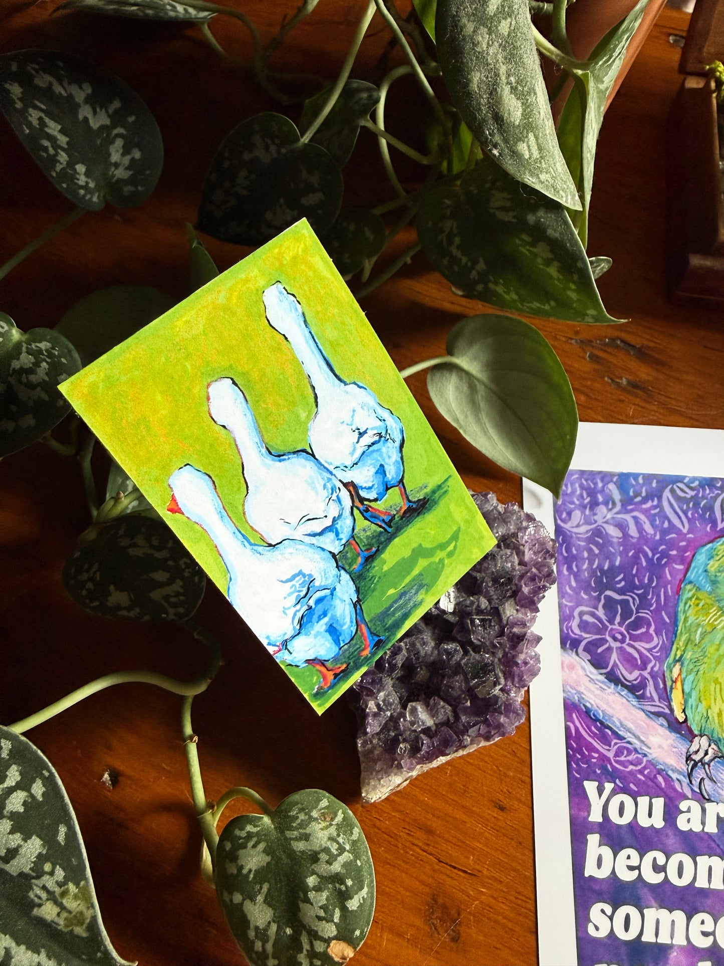 Emotional Birds Mail Club