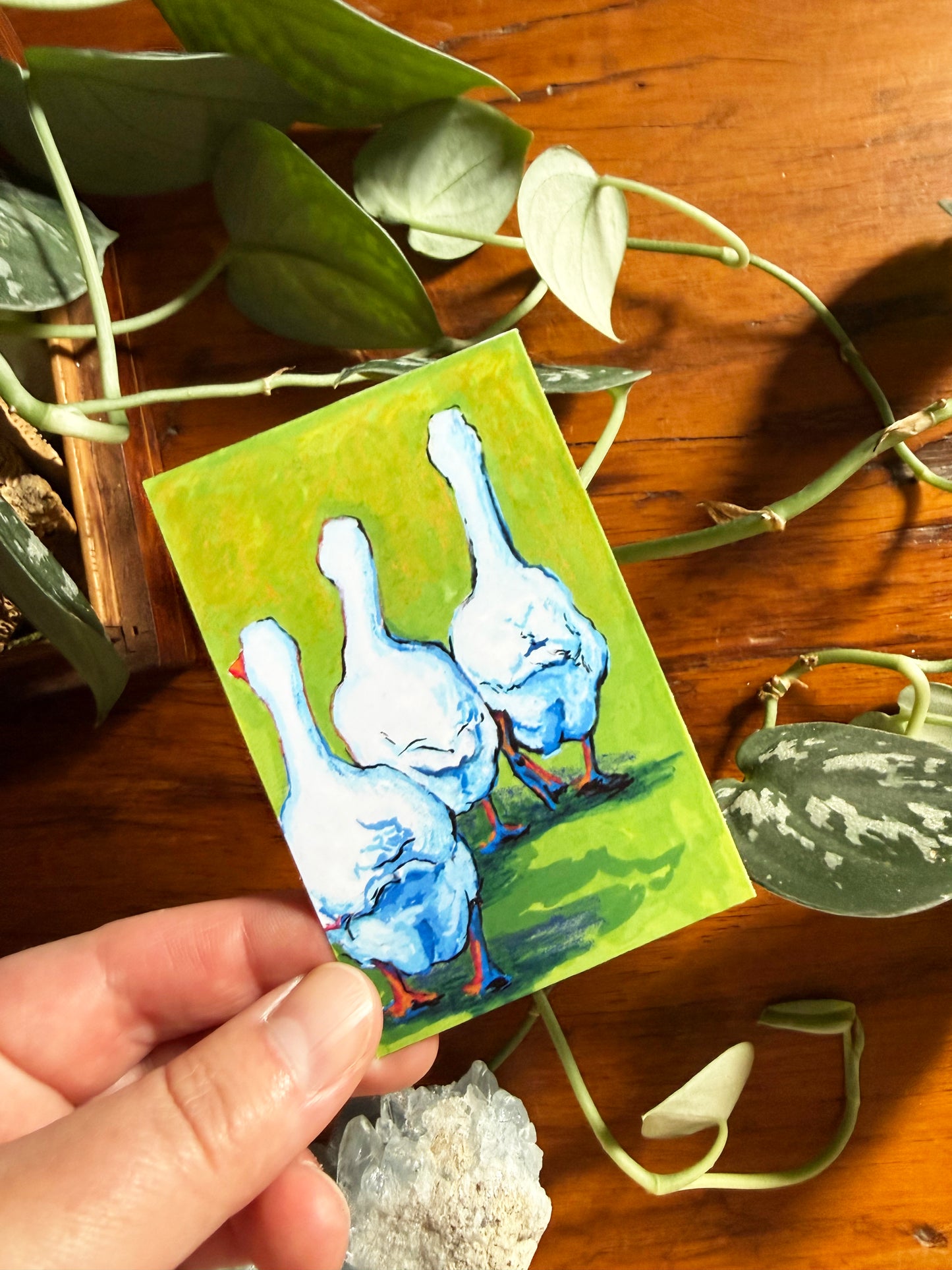 Emotional Birds Mail Club