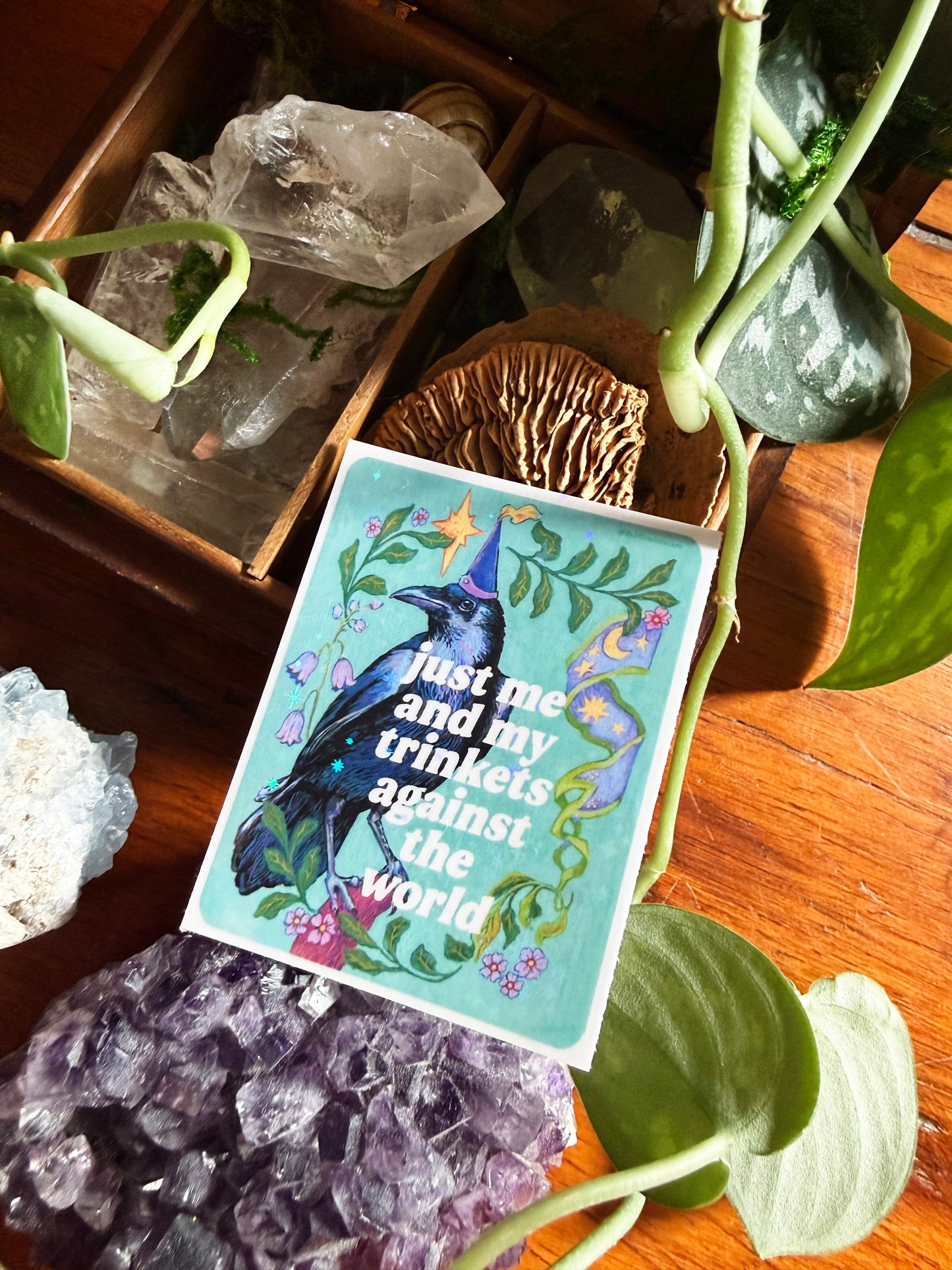 Emotional Birds Mail Club