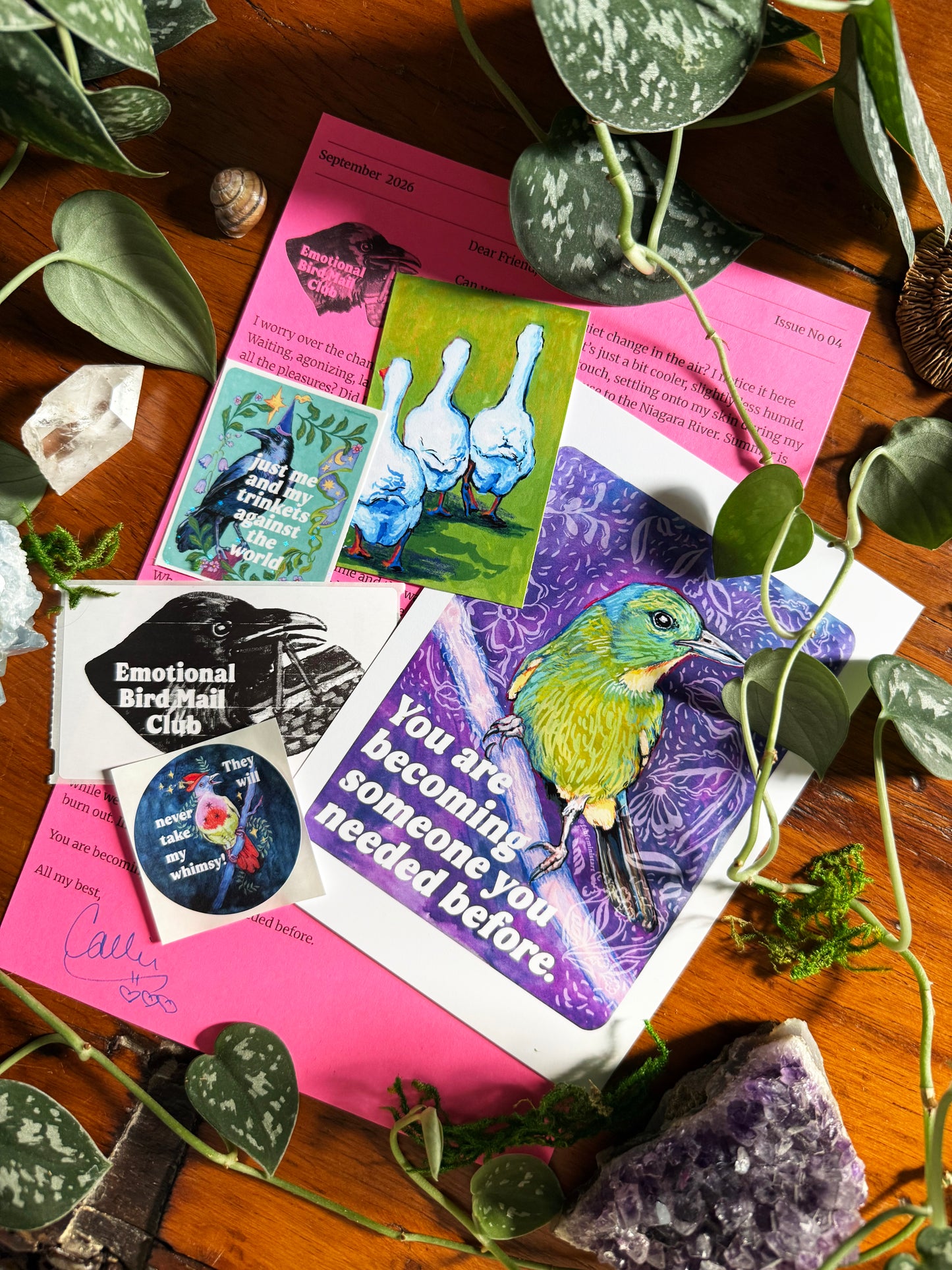 Emotional Birds Mail Club