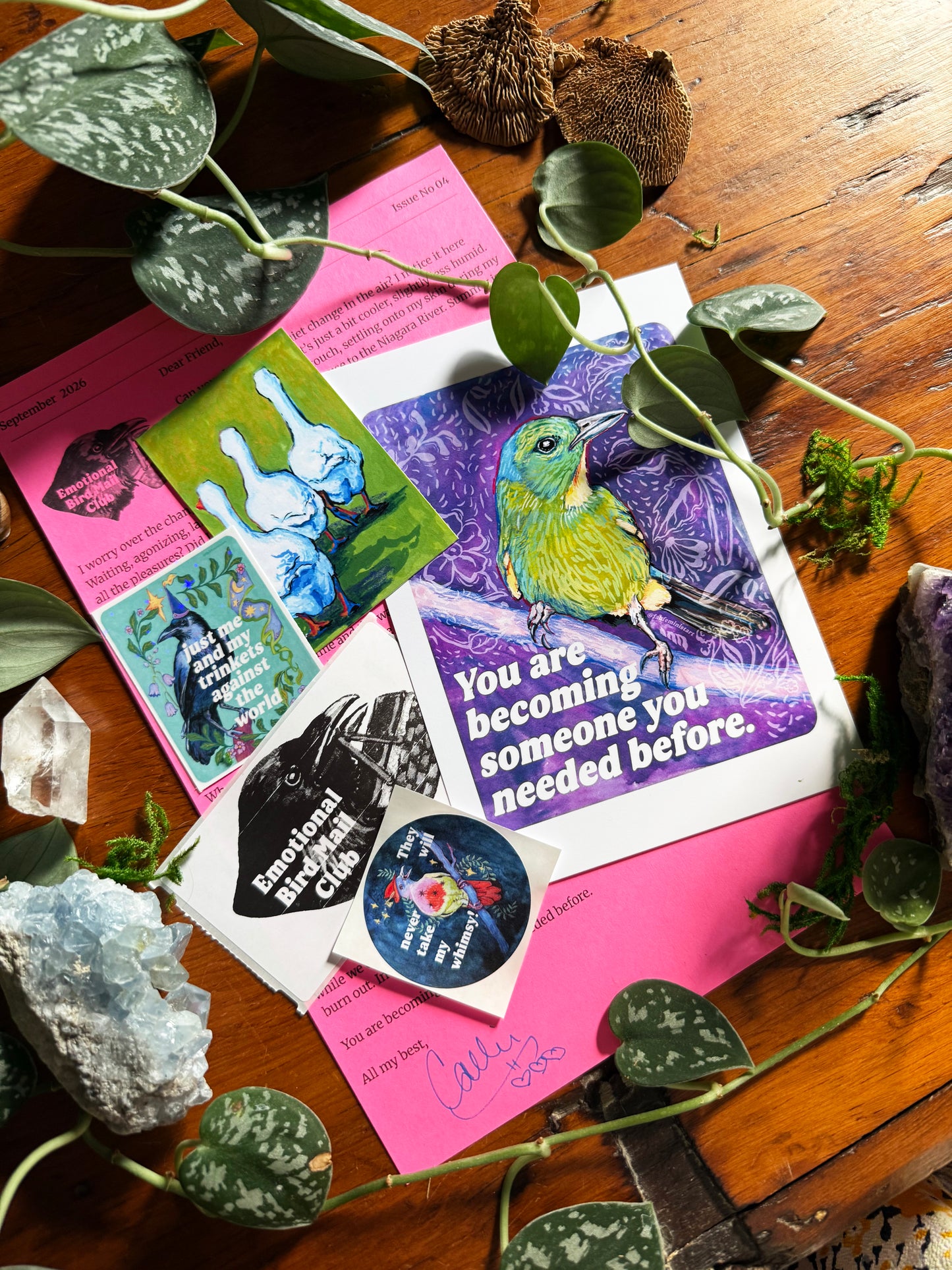 Emotional Birds Mail Club