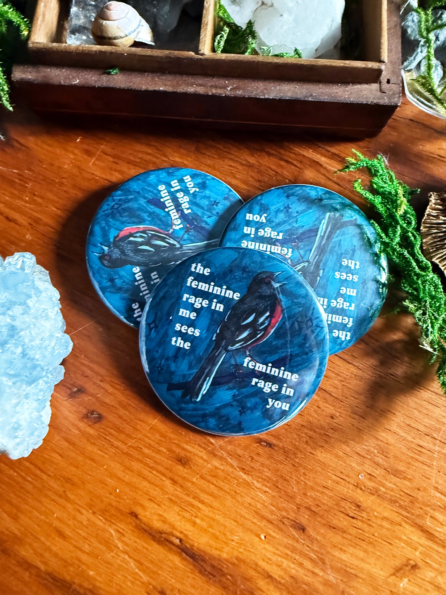 The feminine rage in me sees the feminine rage in you: Feminist Pinback Button