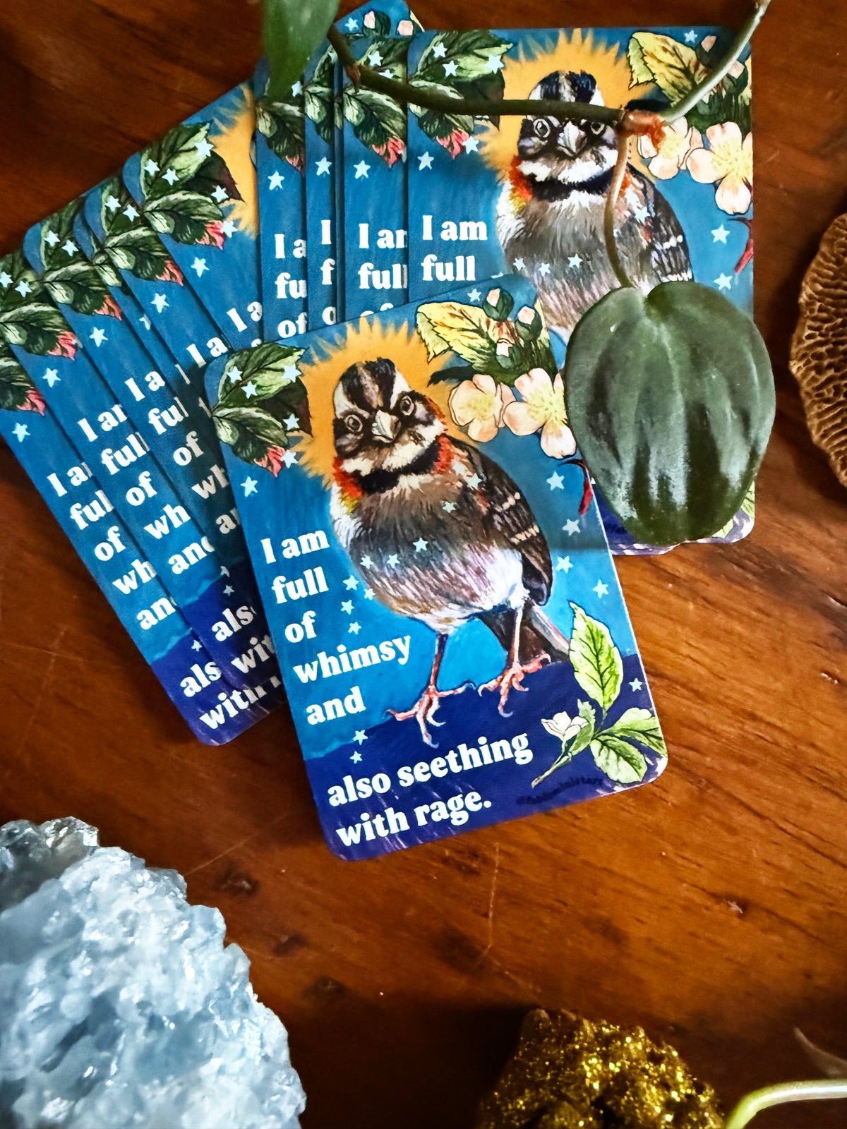 I am full of whimsy and rage: feminist magnet