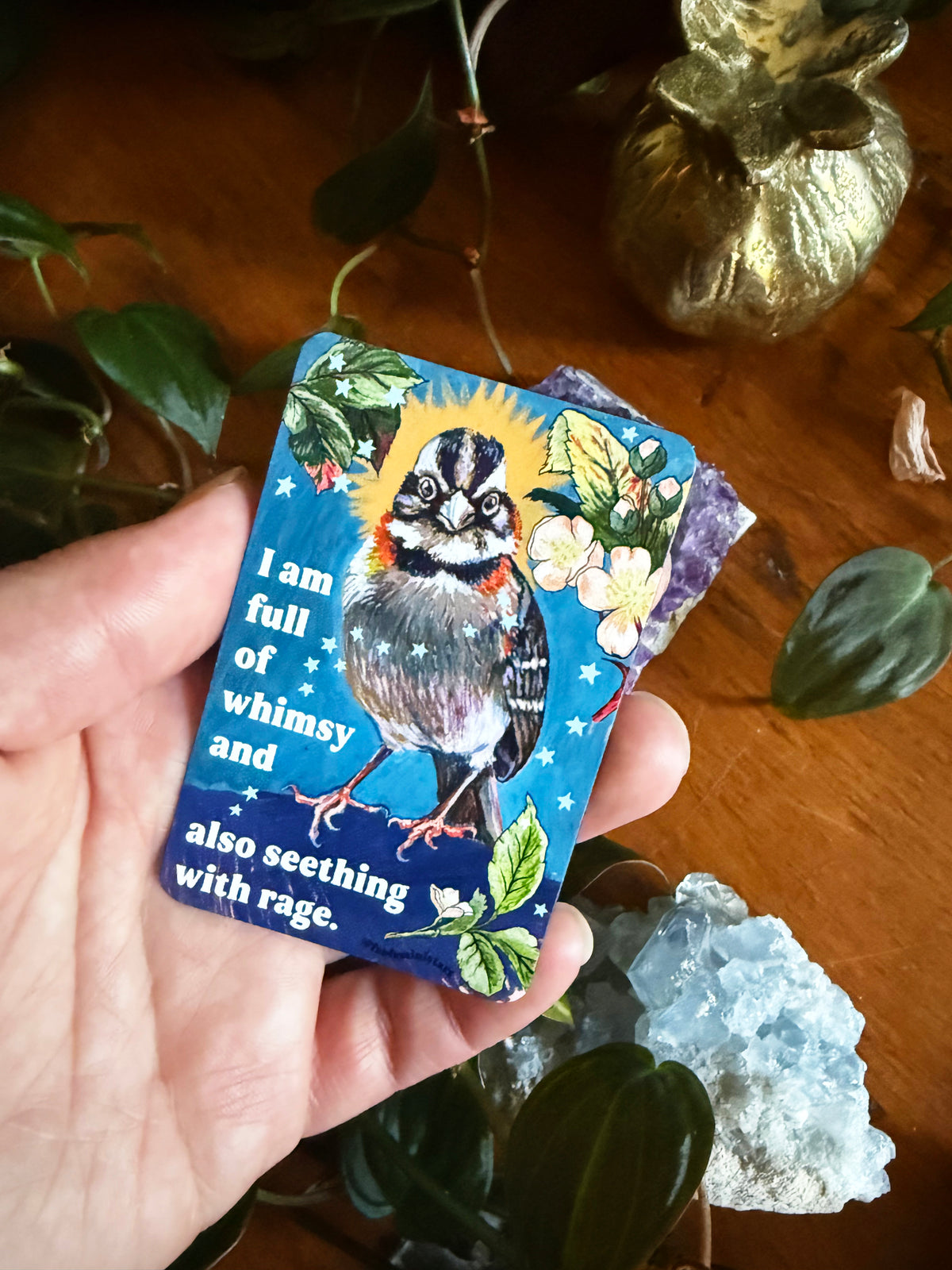 I am full of whimsy and rage: feminist magnet