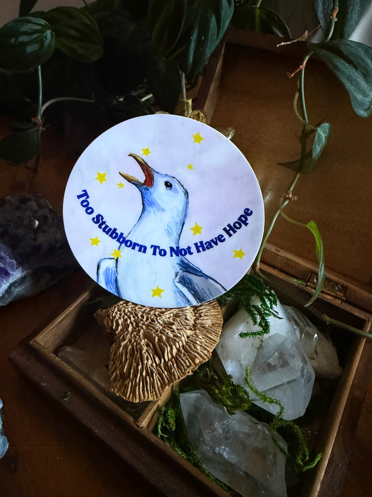 Too stubborn to not have hope: feminist sticker