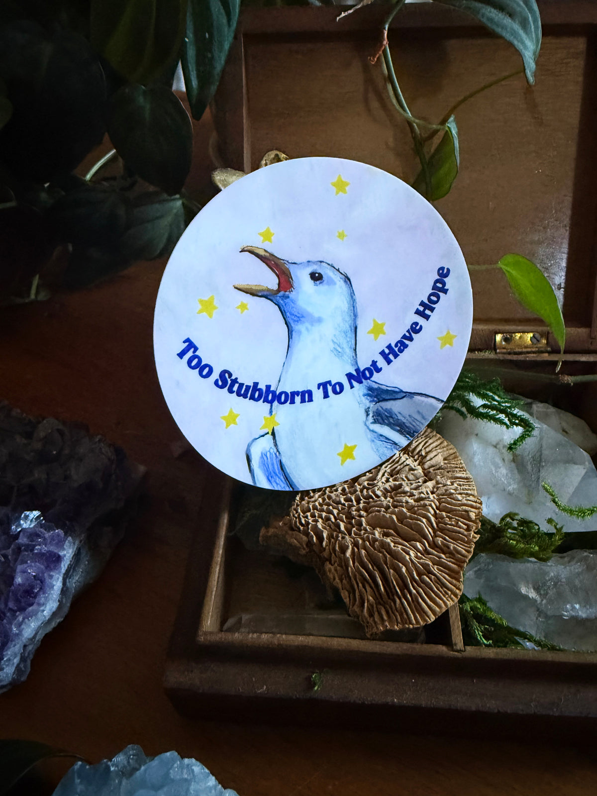 Too stubborn to not have hope: feminist sticker