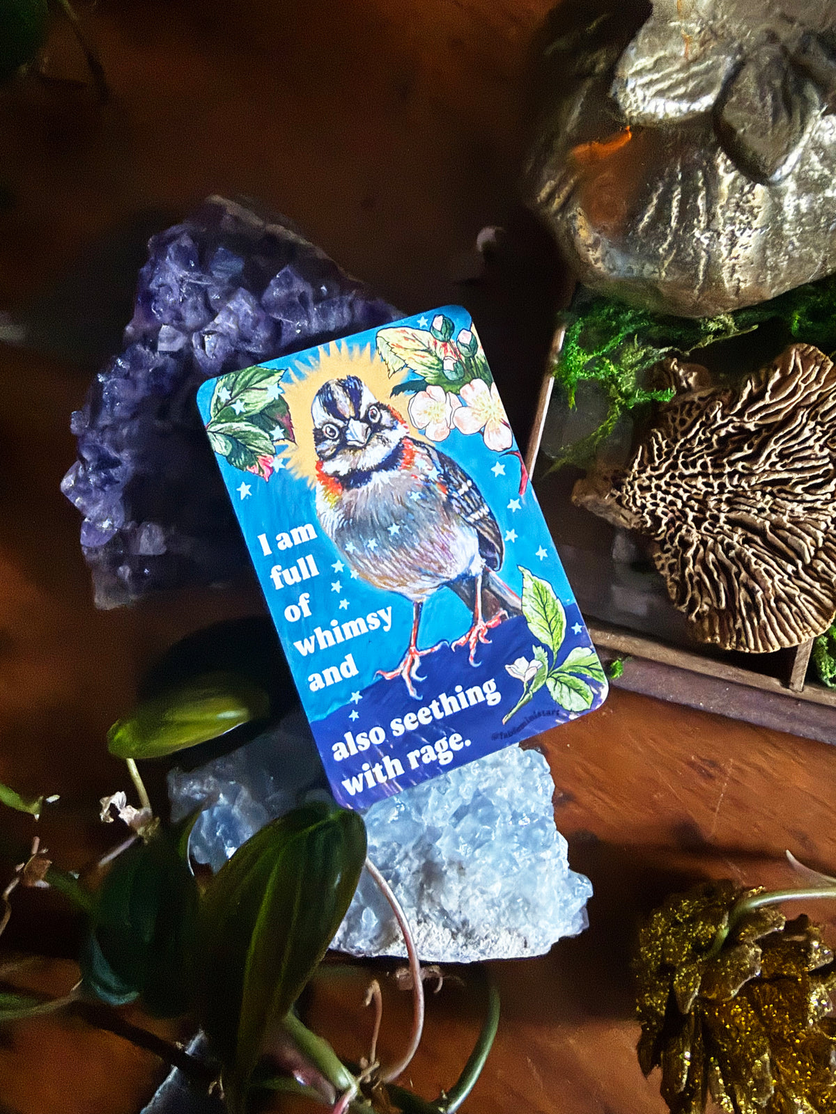 I am full of whimsy and rage: feminist magnet