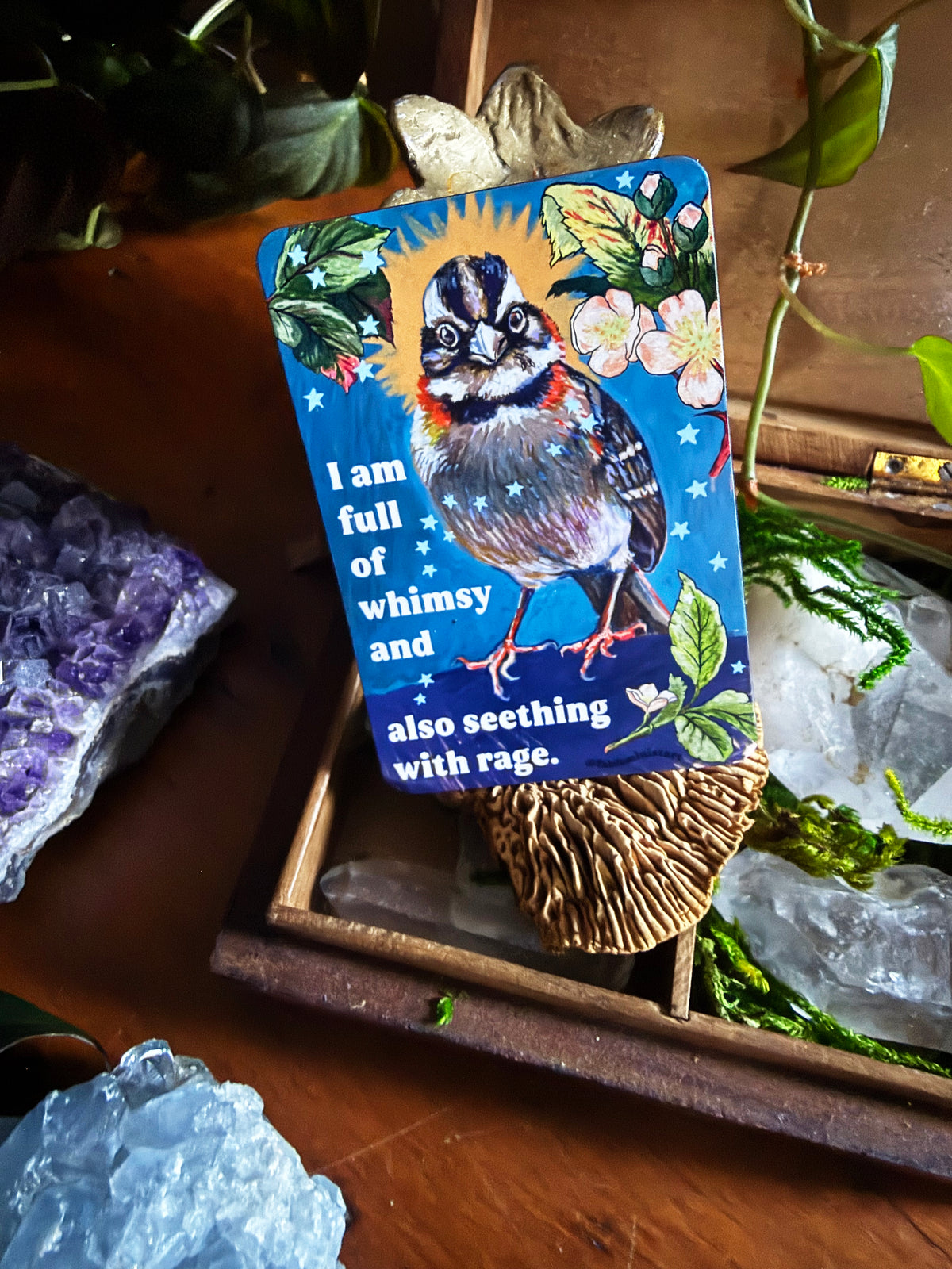 I am full of whimsy and rage: feminist magnet