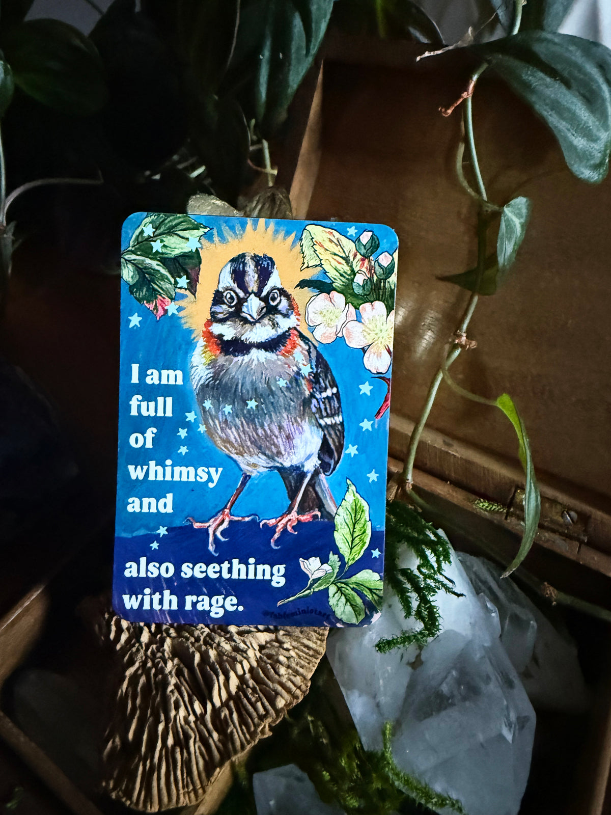 I am full of whimsy and rage: feminist magnet