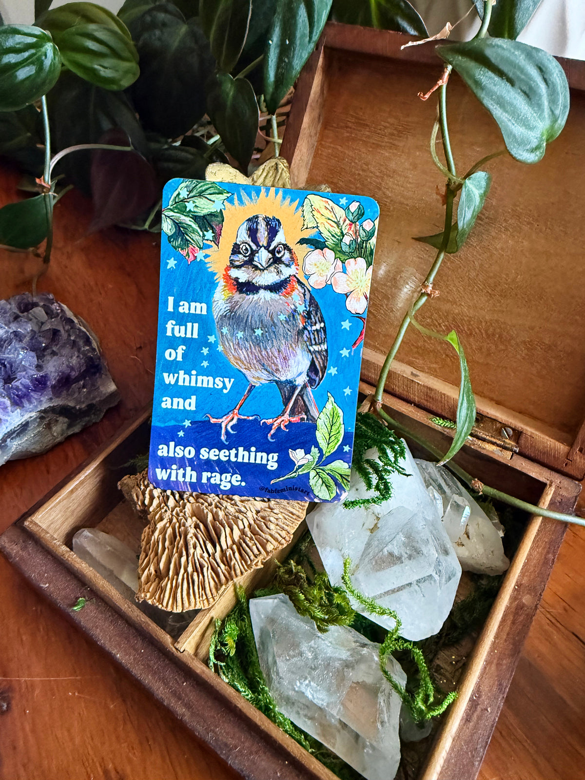 I am full of whimsy and rage: feminist magnet