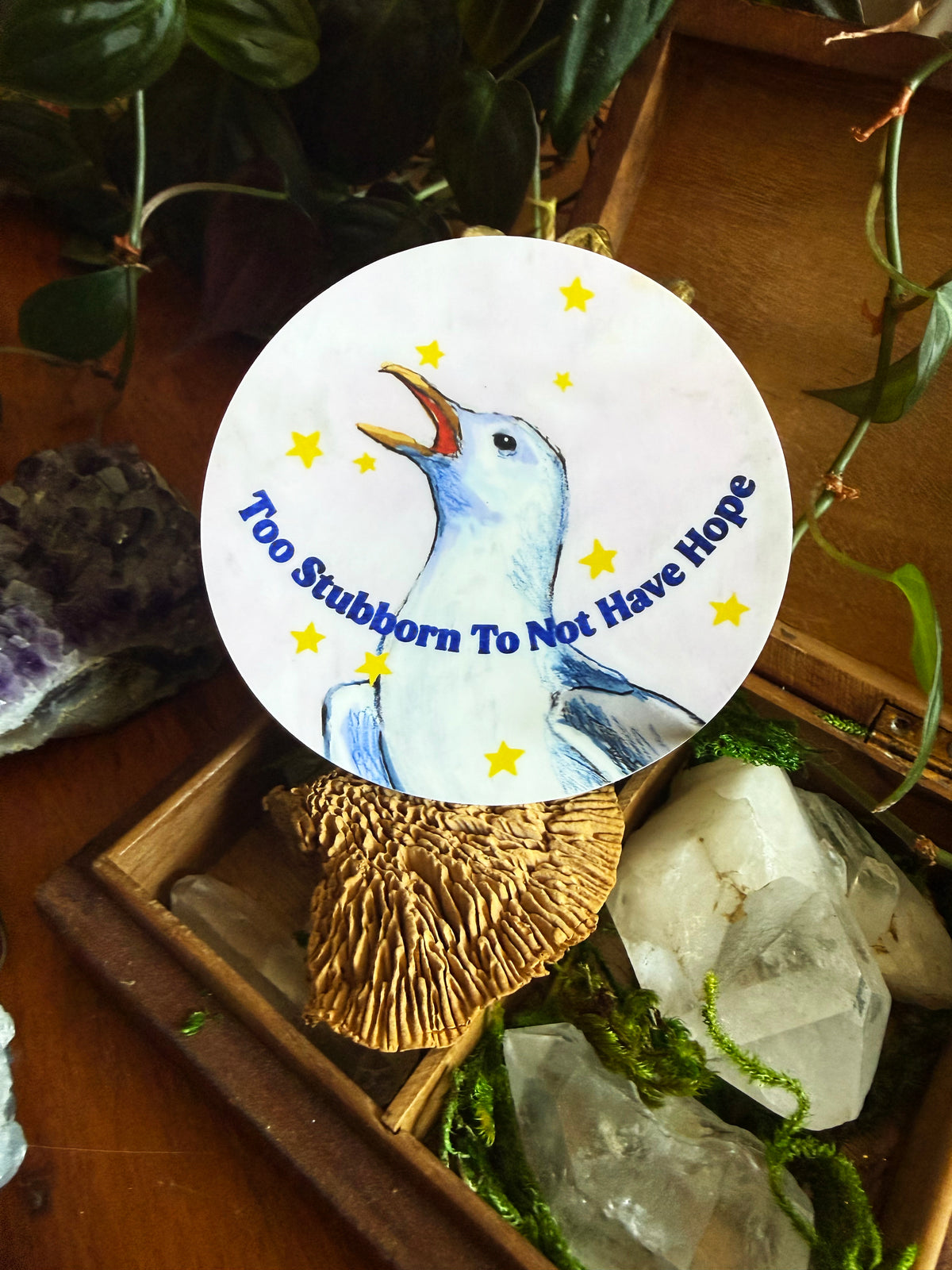Too stubborn to not have hope: feminist sticker