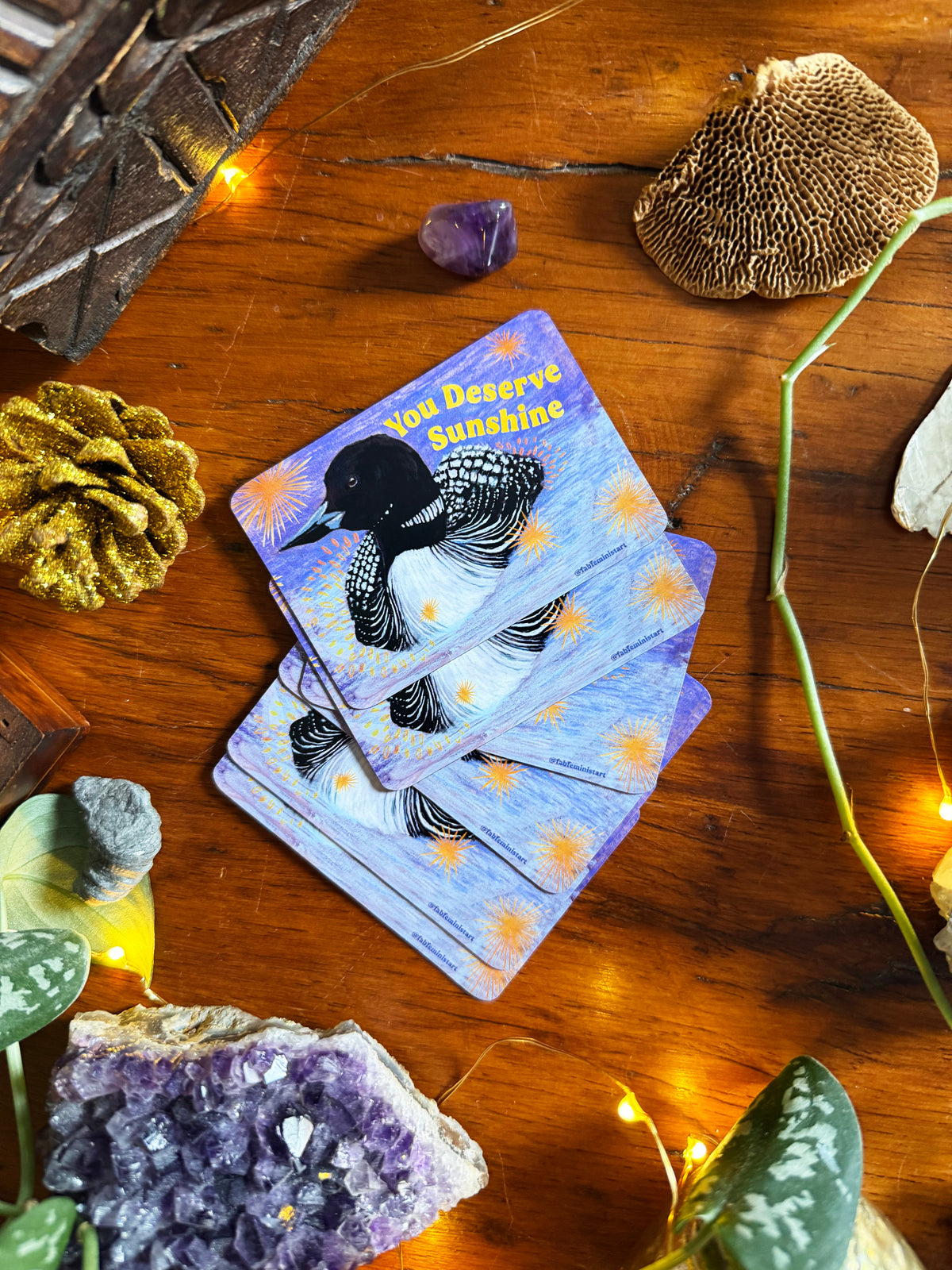 You Deserve Sunshine: Loon Magnet