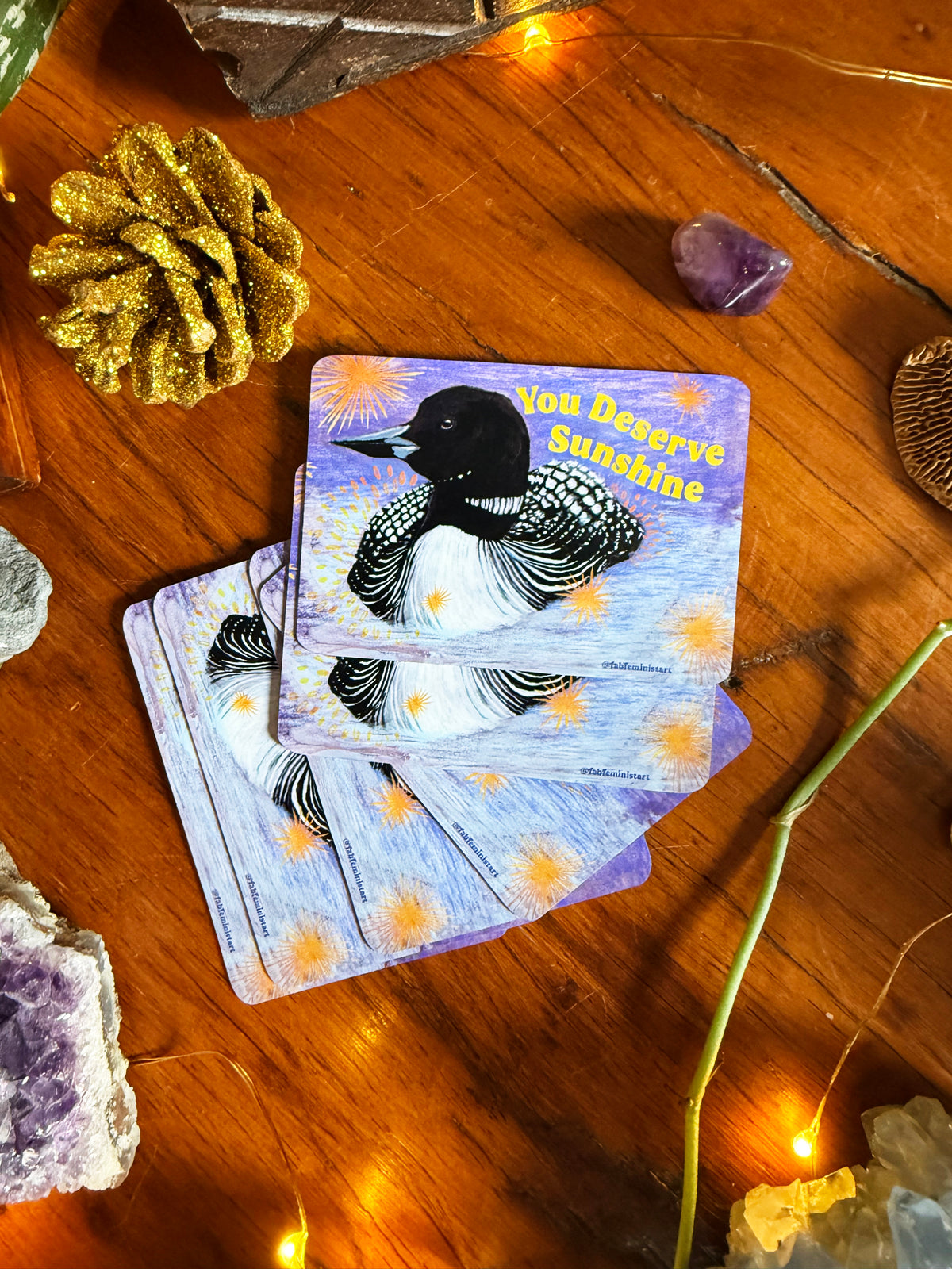 You Deserve Sunshine: Loon Magnet