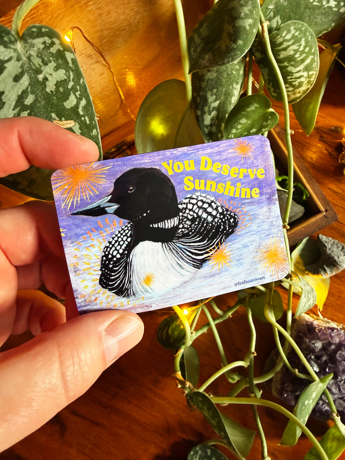 You Deserve Sunshine: Loon Magnet