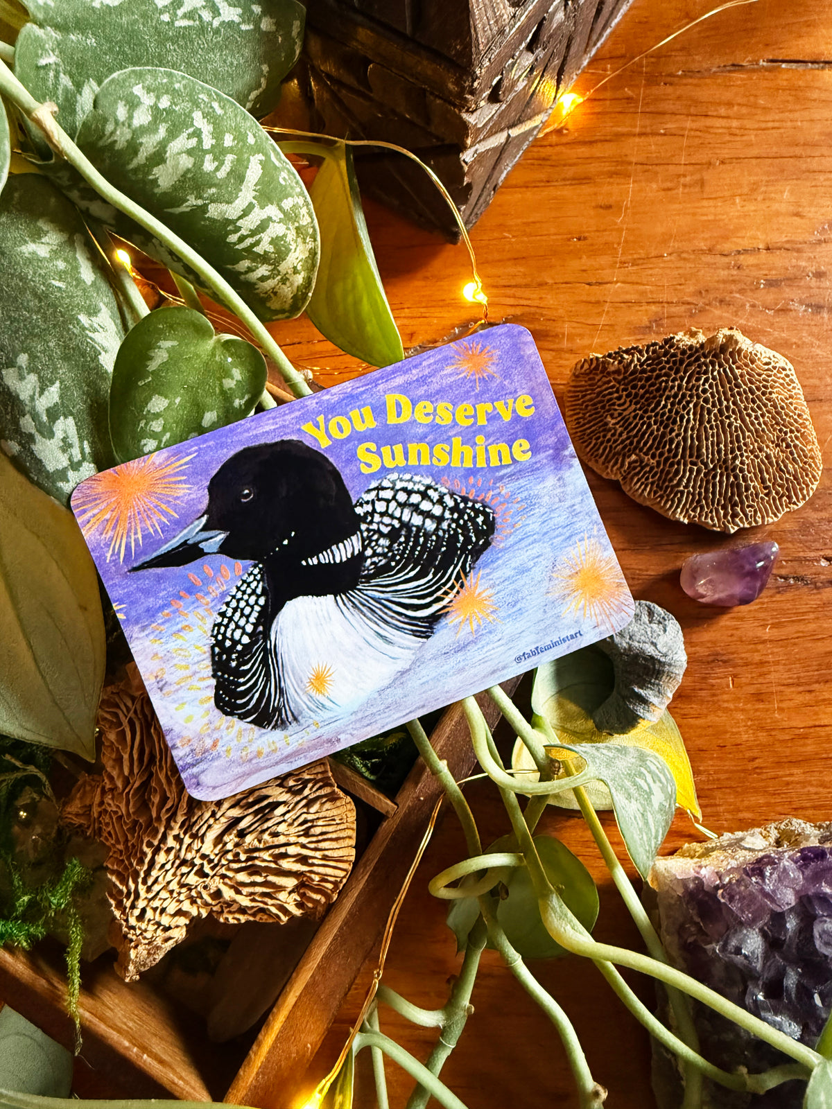 You Deserve Sunshine: Loon Magnet