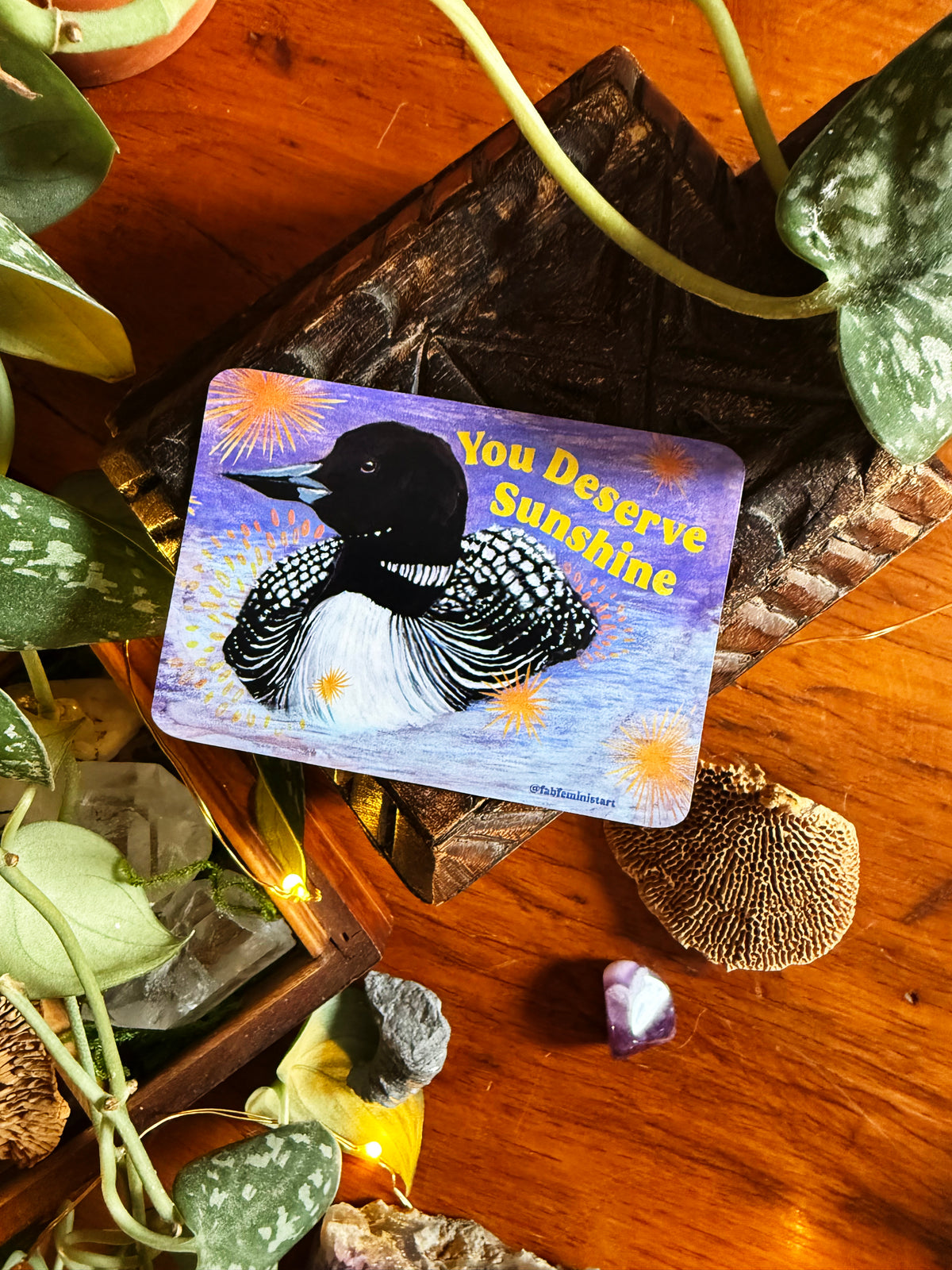 You Deserve Sunshine: Loon Magnet