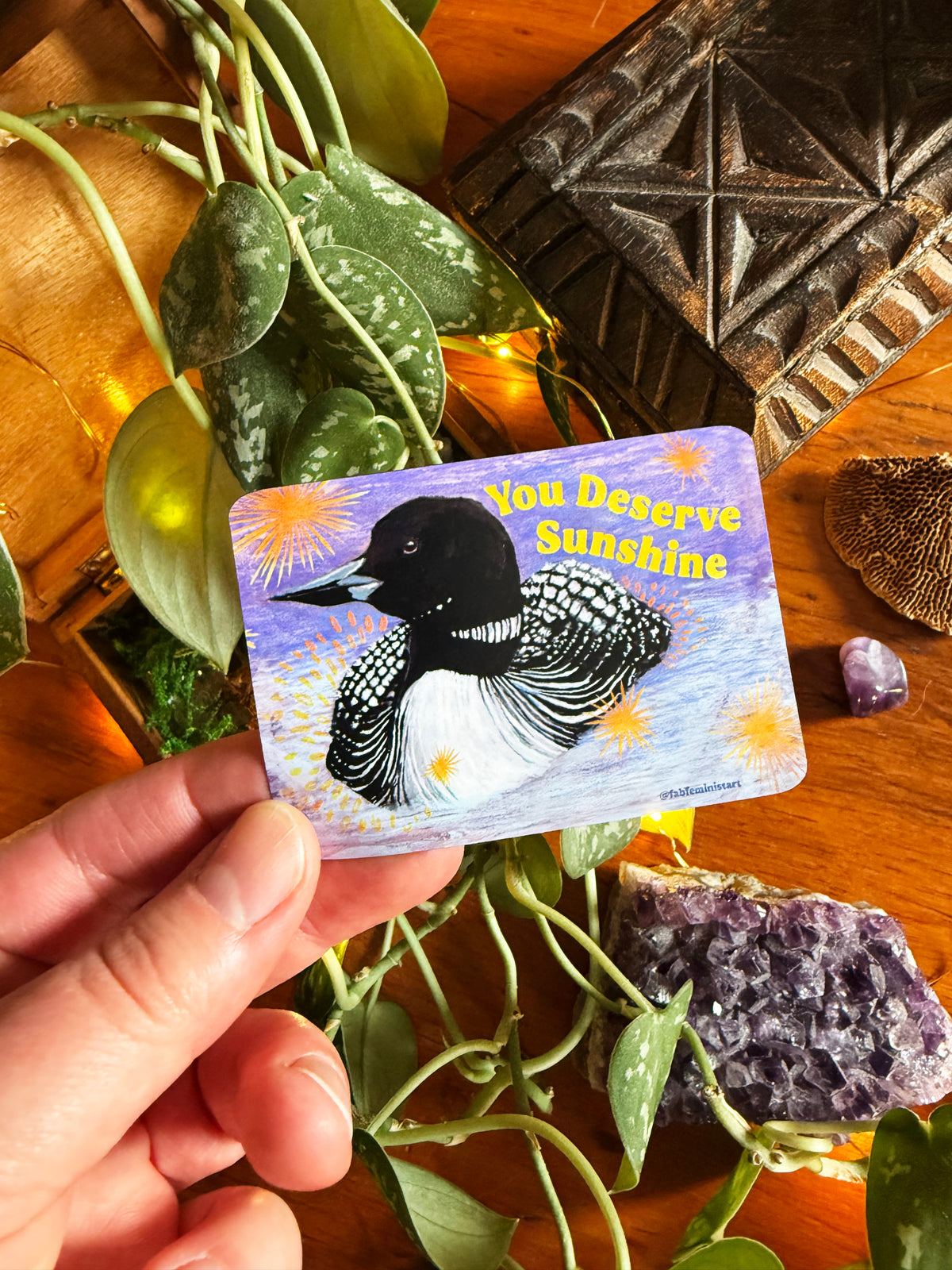 You Deserve Sunshine: Loon Magnet