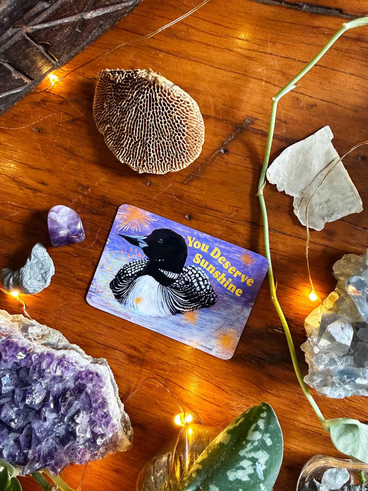 You Deserve Sunshine: Loon Magnet