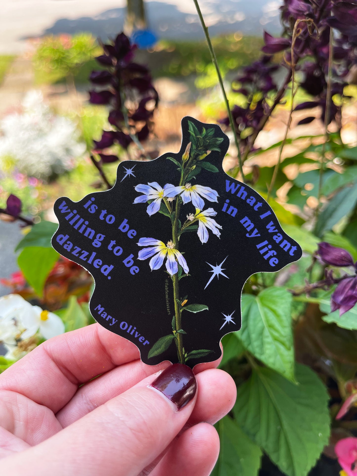 What I Want In My Life Is To Be Willing To Be Dazzled, Mary Oliver: Feminist Sticker