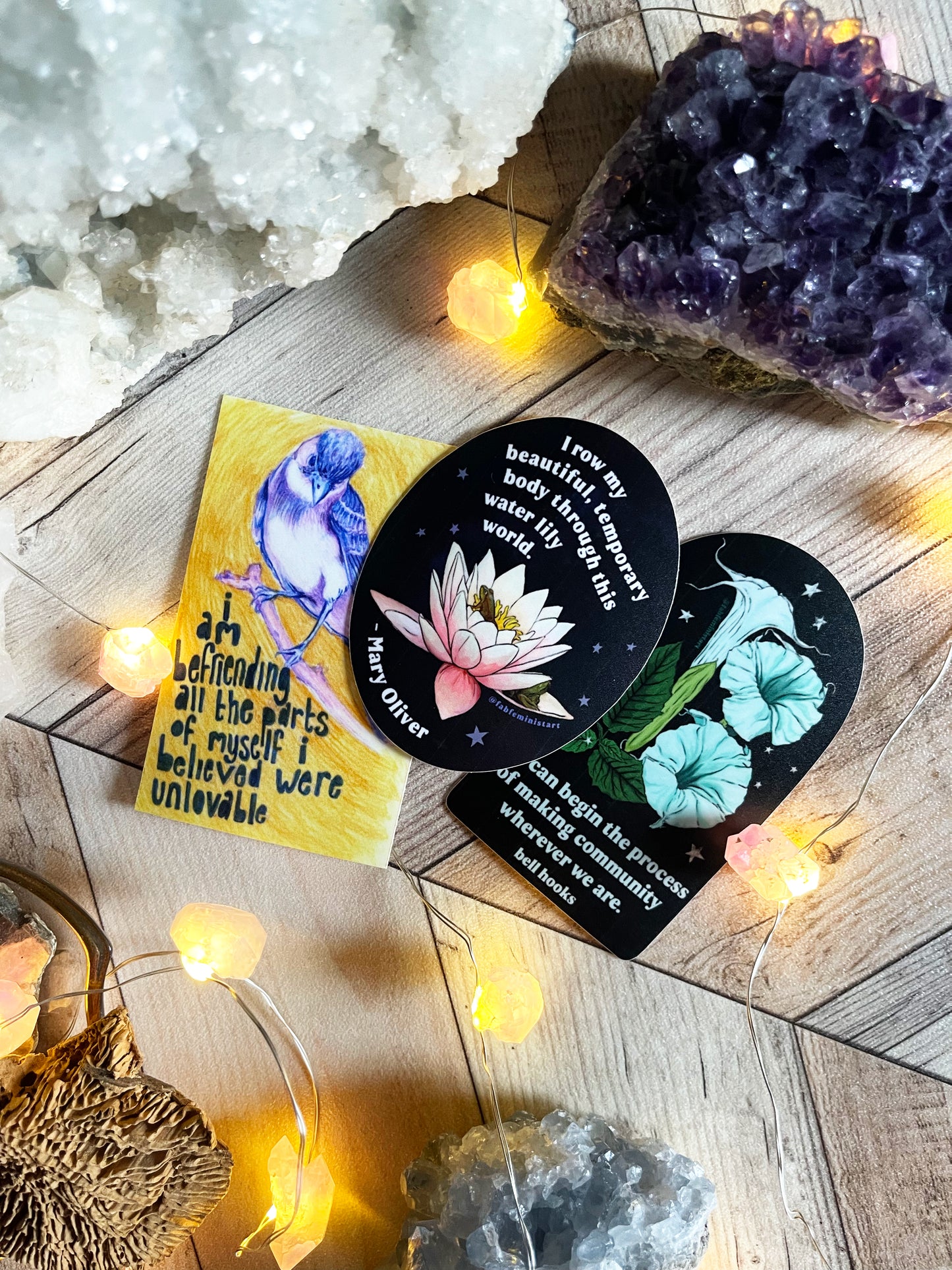 I row my beautiful temporary body through this water lily world, Mary Oliver: Feminist Sticker