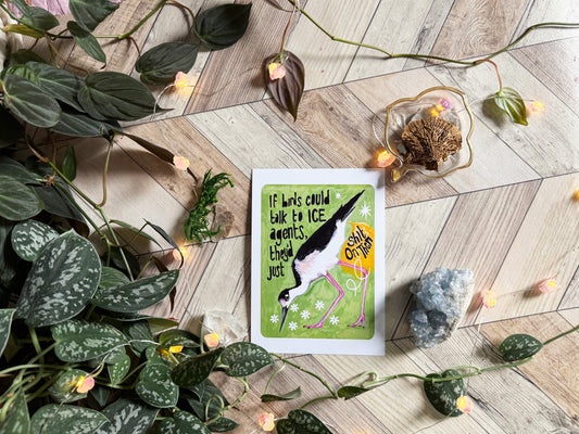 If birds could talk to ICE agents they'd just shit on them: Feminist Art Print