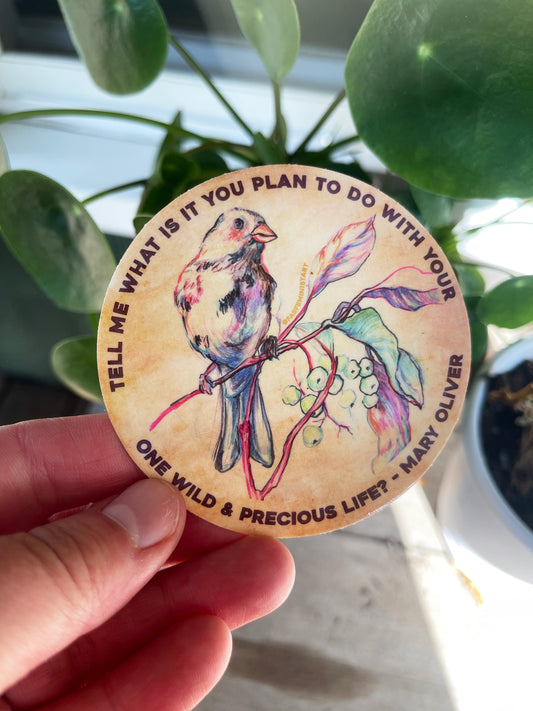 Tell me what is you plant to do with your one wild & precious life, Mary Oliver⁠: Feminist Sticker