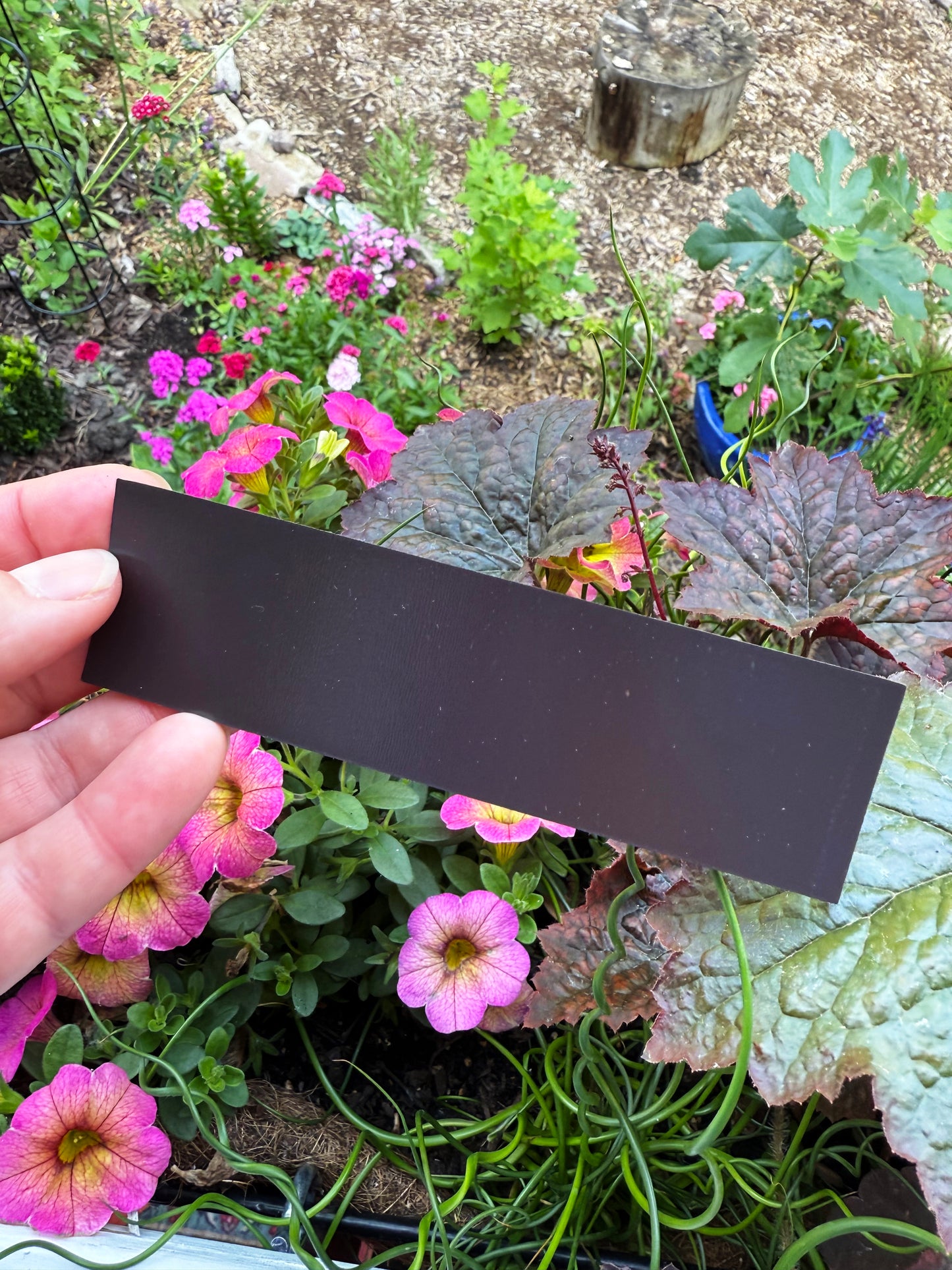 Diversity Makes America Great: Feminist Magnet