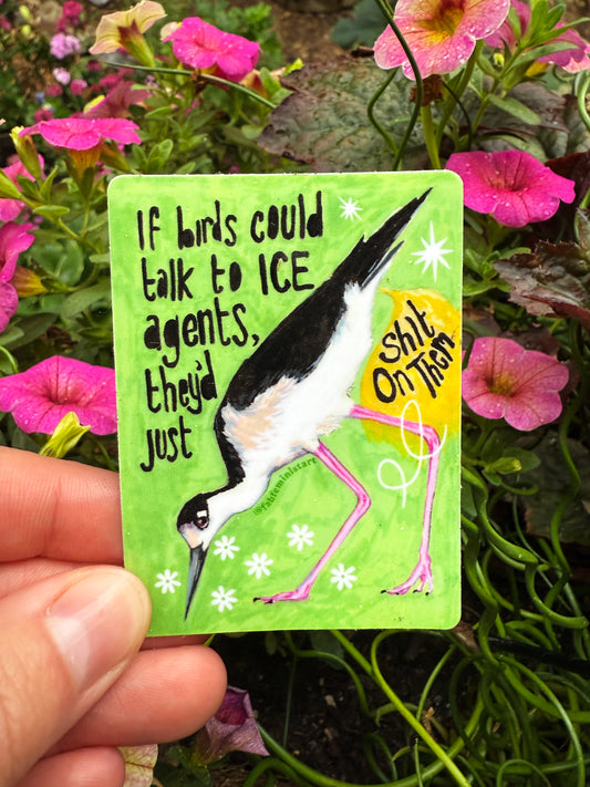 If Birds Could Talk To ICE Agents They'd Just Shit On Them: Feminist Sticker
