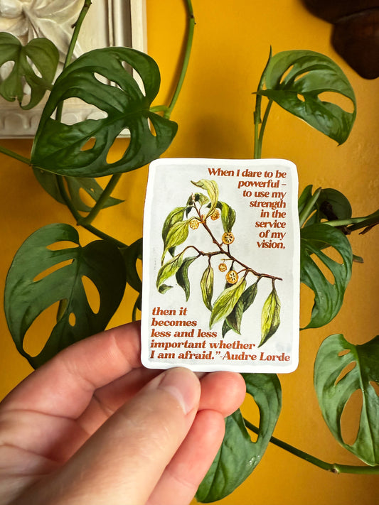 When I dare to be powerful - to use my strength in the service of my vision then it becomes less and less important whether I am afraid, Audre Lorde: Feminist Magnet