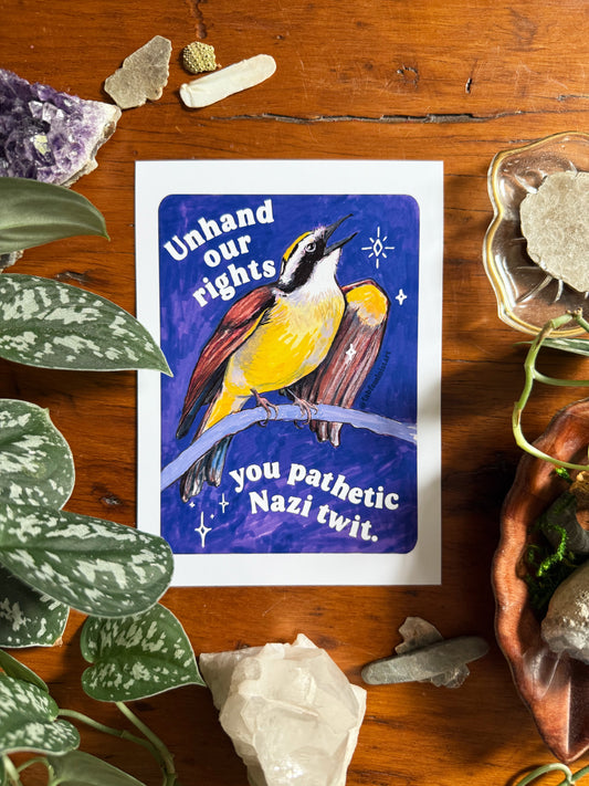 Unhand our rights you nazi twit: feminist art print