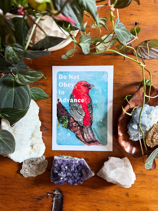 Do Not Obey In Advance: Feminist Art Print