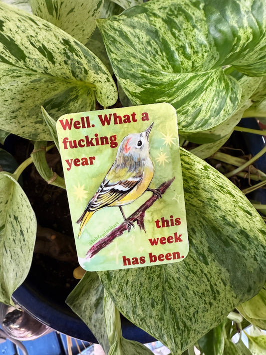 Well what a fucking year this week has been: Feminist sticker