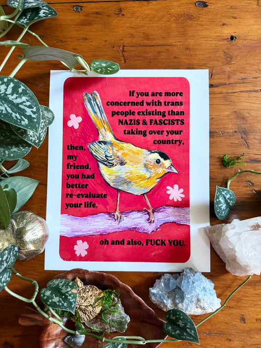 If you are more concerned with trans people existing than naz*s and fasc*sts taking over your country: feminist print