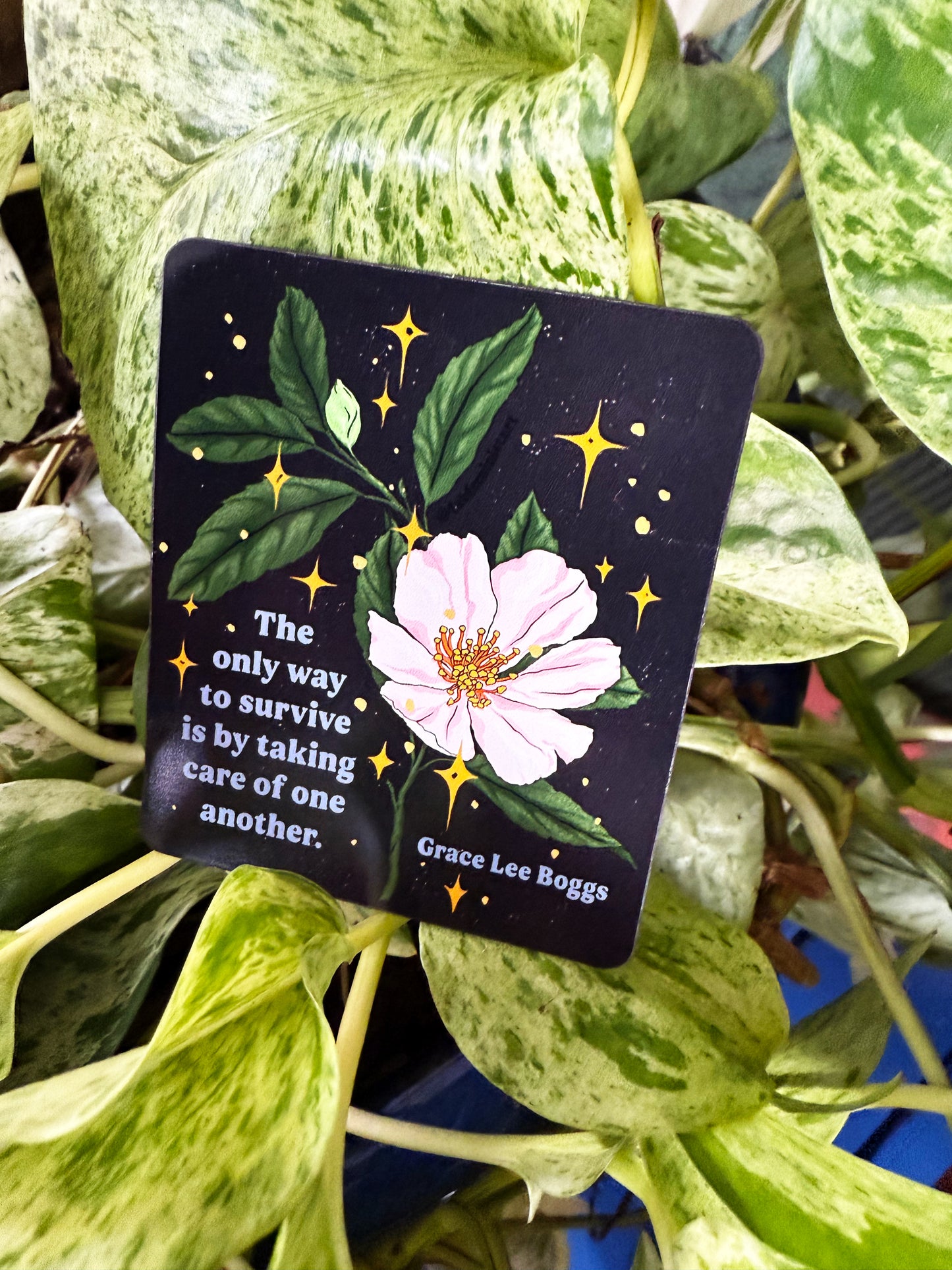 The only way to survive is by taking care of one another, Grace Lee Boggs: Feminist Magnet
