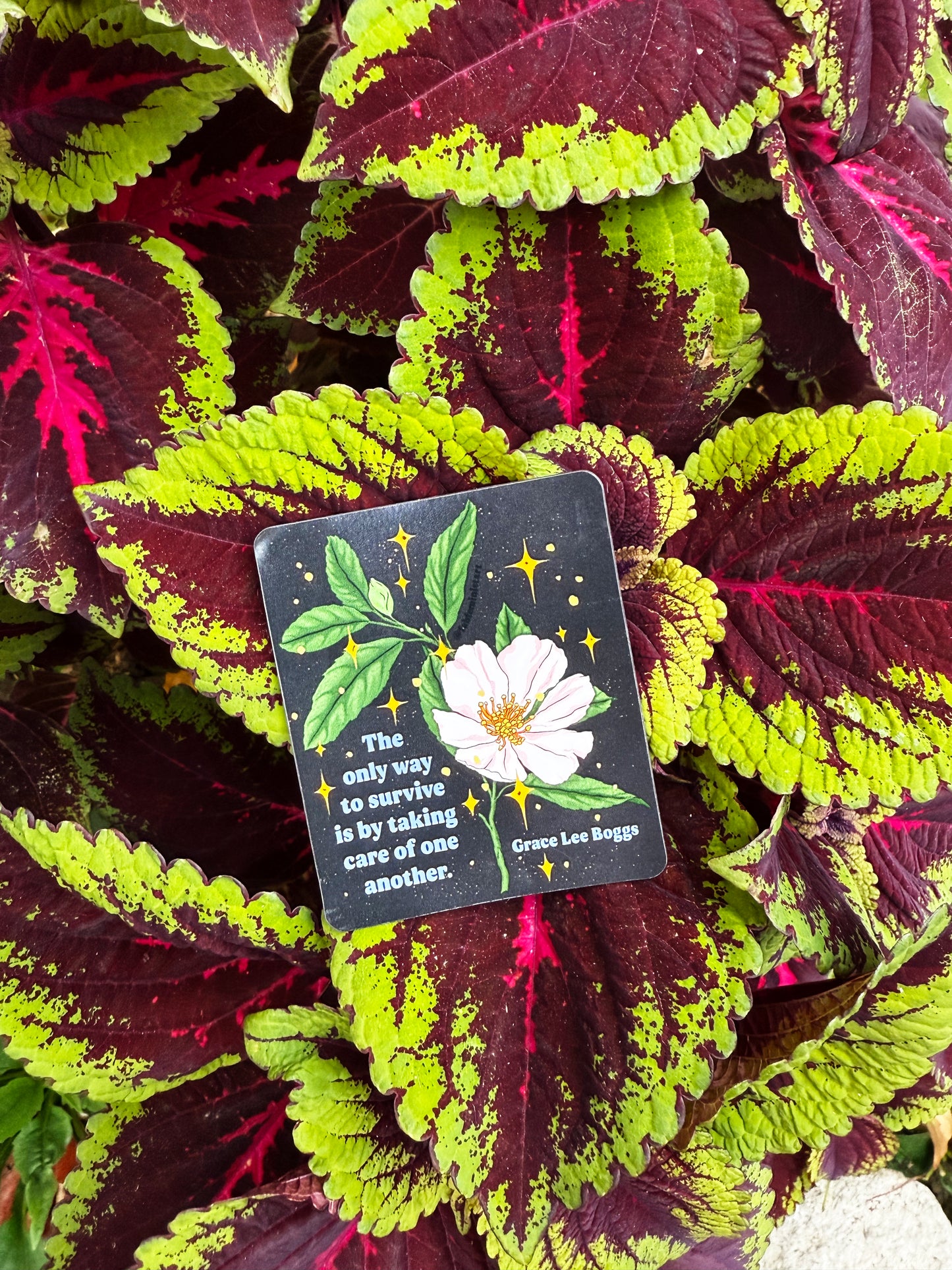 The only way to survive is by taking care of one another, Grace Lee Boggs: Feminist Magnet