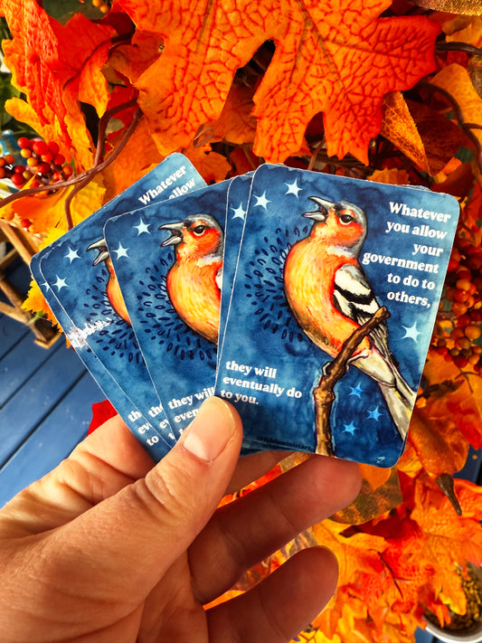 Whatever you allow your government to do to others, they will eventually do to you: feminist sticker