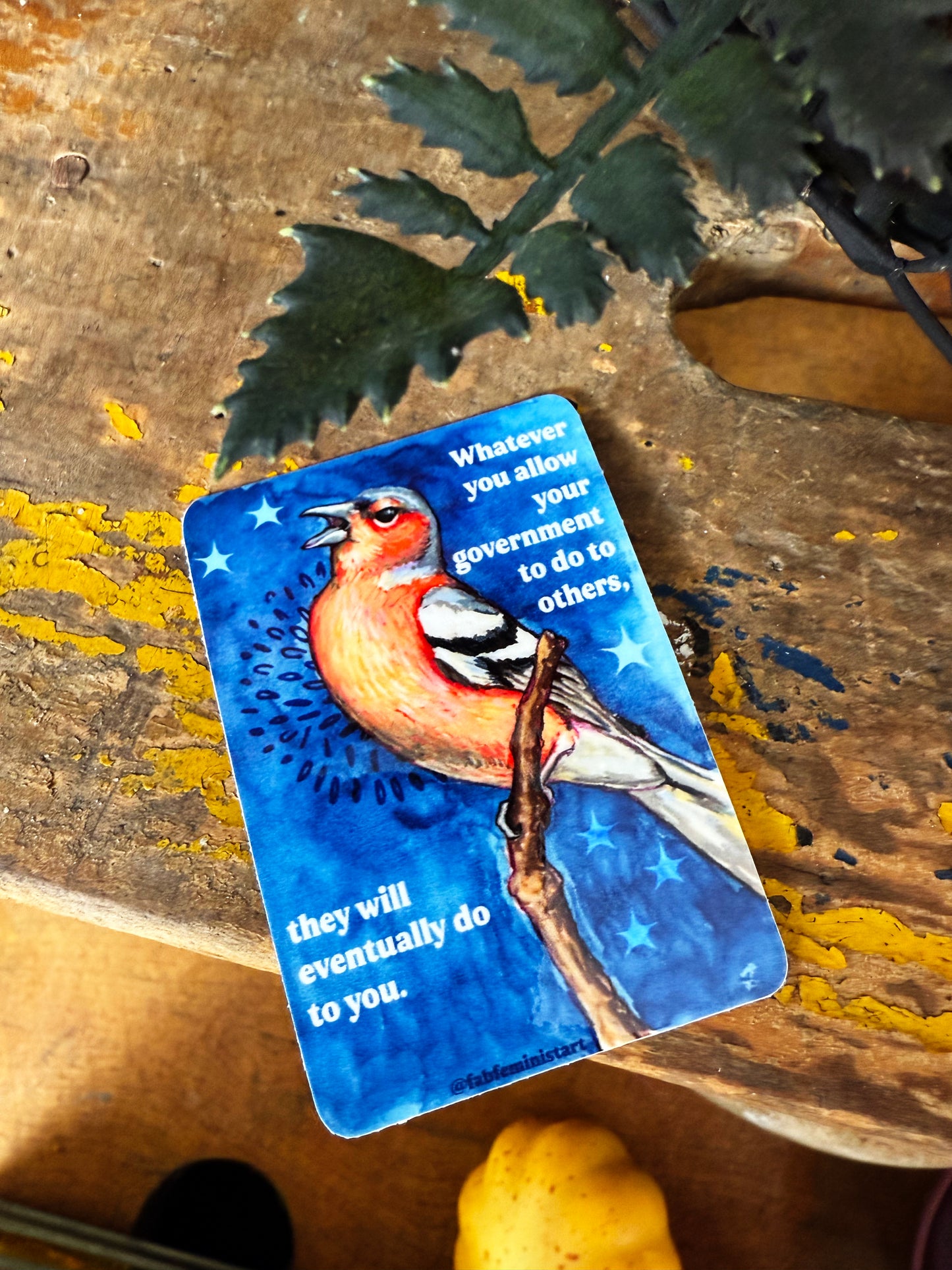 Whatever you allow your government to do to others, they will eventually do to you: feminist sticker