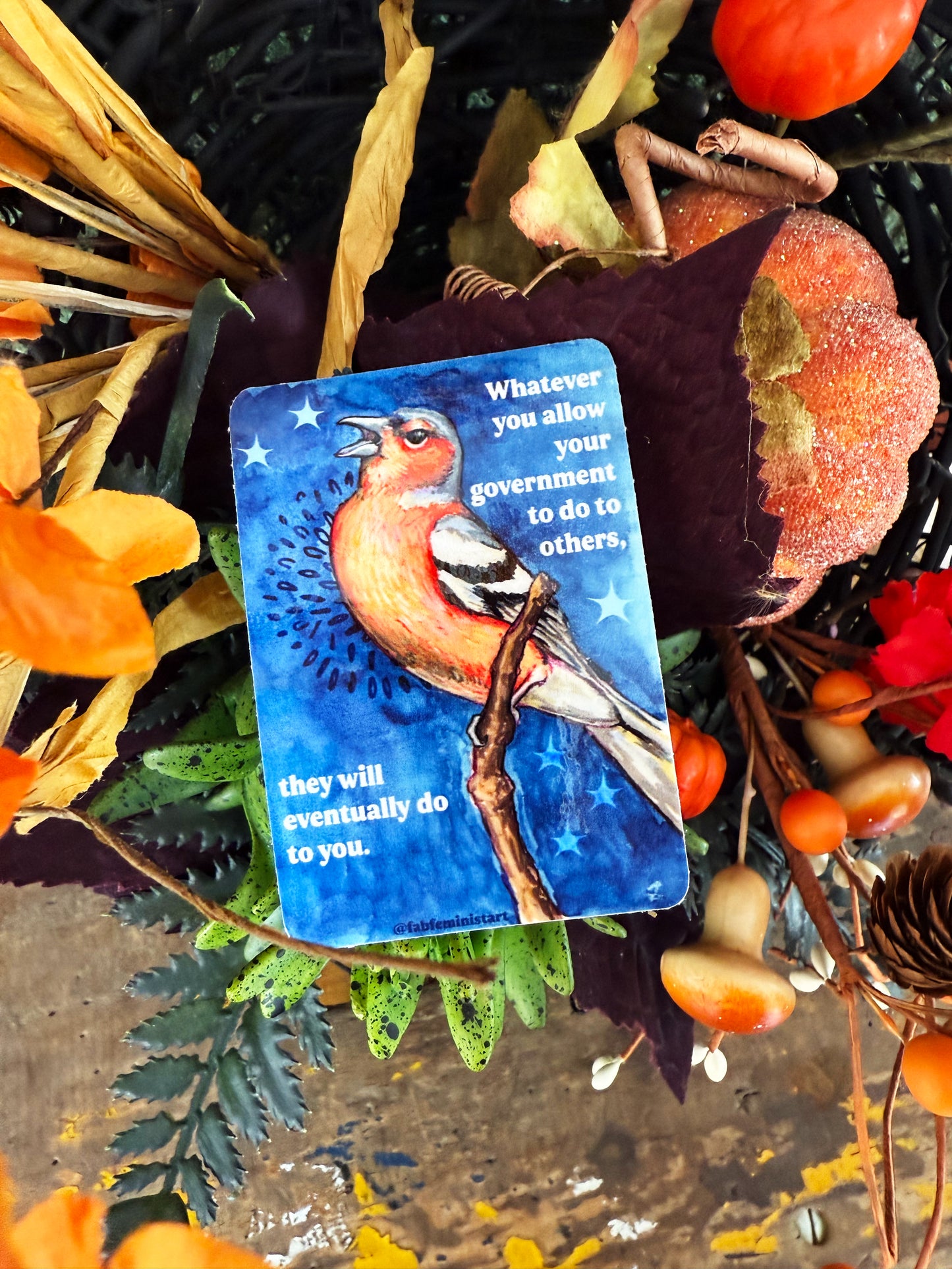 Whatever you allow your government to do to others, they will eventually do to you: feminist sticker