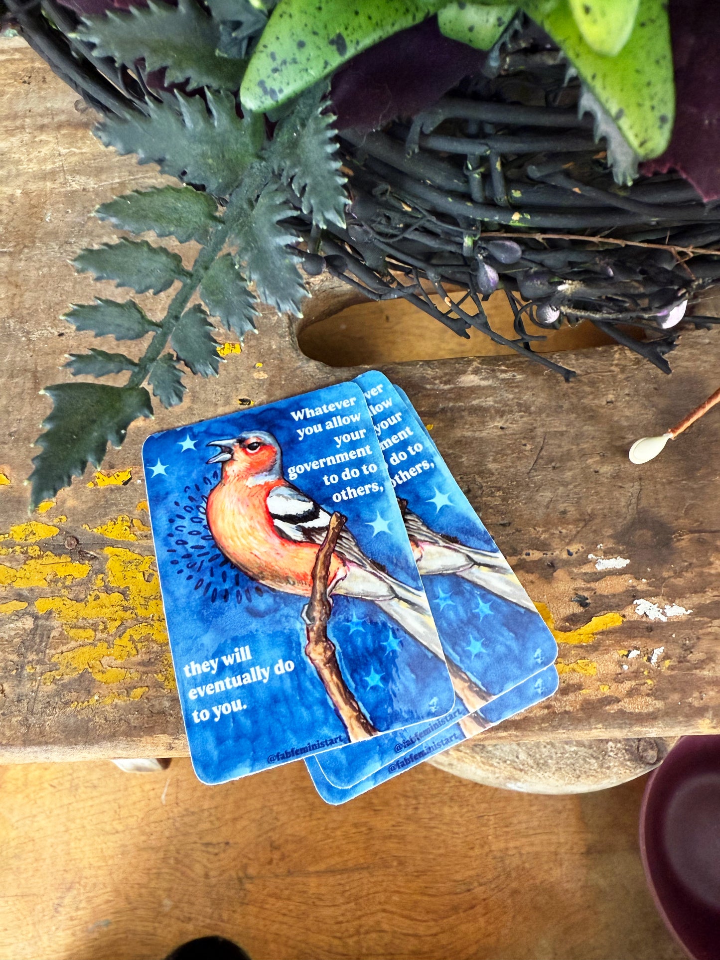 Whatever you allow your government to do to others, they will eventually do to you: feminist sticker