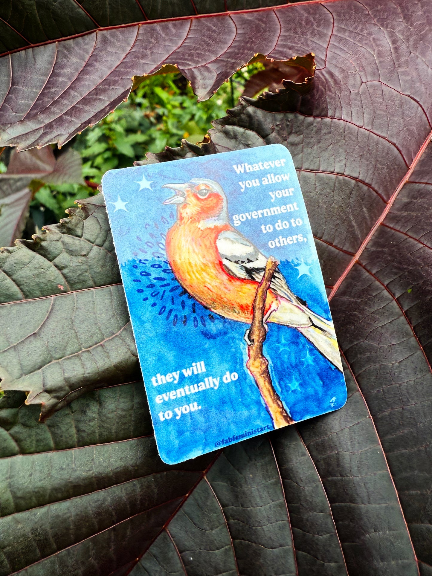 Whatever you allow your government to do to others, they will eventually do to you: feminist sticker