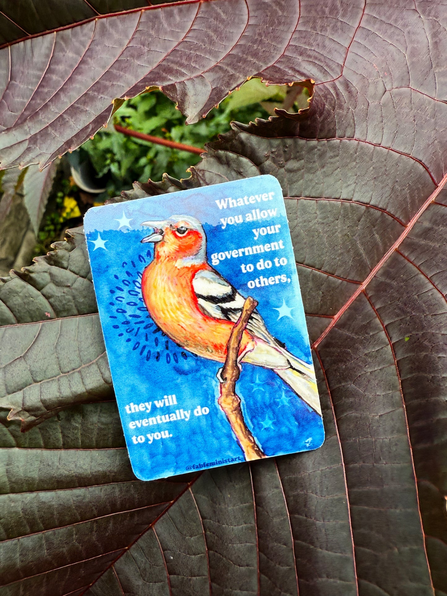 Whatever you allow your government to do to others, they will eventually do to you: feminist sticker