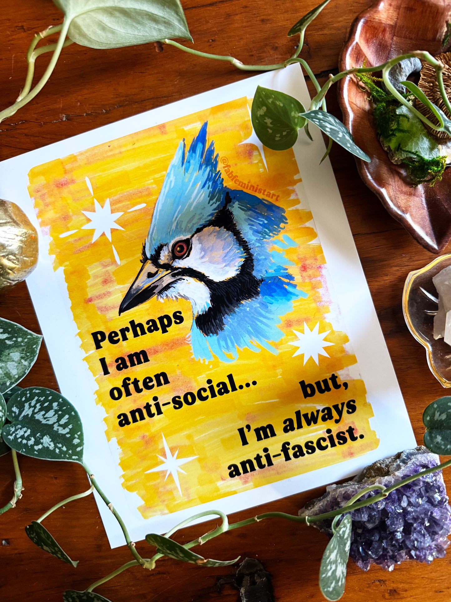 Perhaps I am often anti-social... but I'm *always* anti-fascist: feminist art print