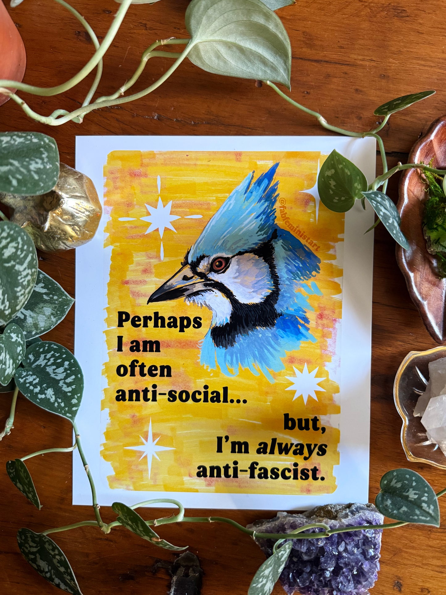 Perhaps I am often anti-social... but I'm *always* anti-fascist: feminist art print