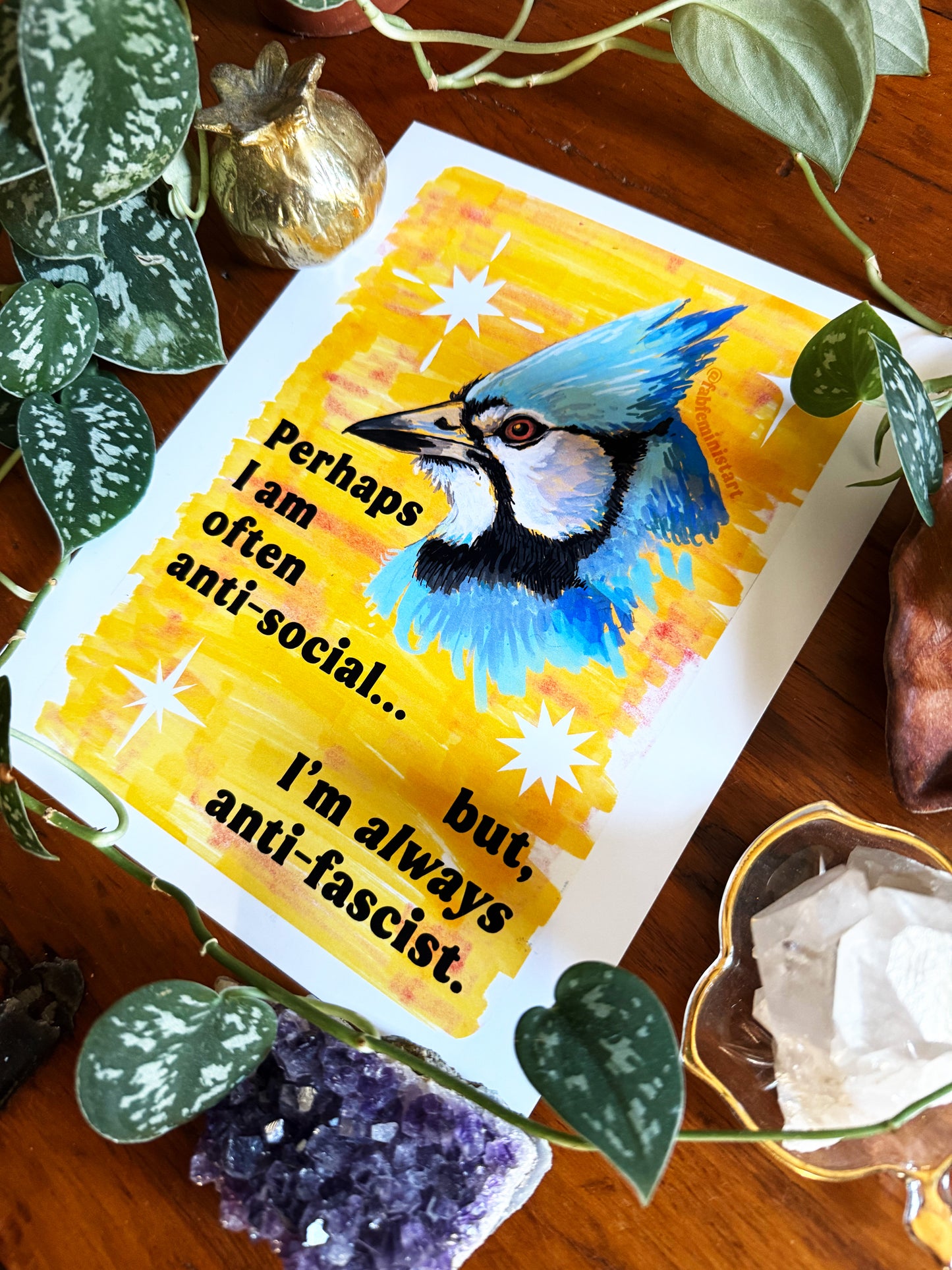 Perhaps I am often anti-social... but I'm *always* anti-fascist: feminist art print