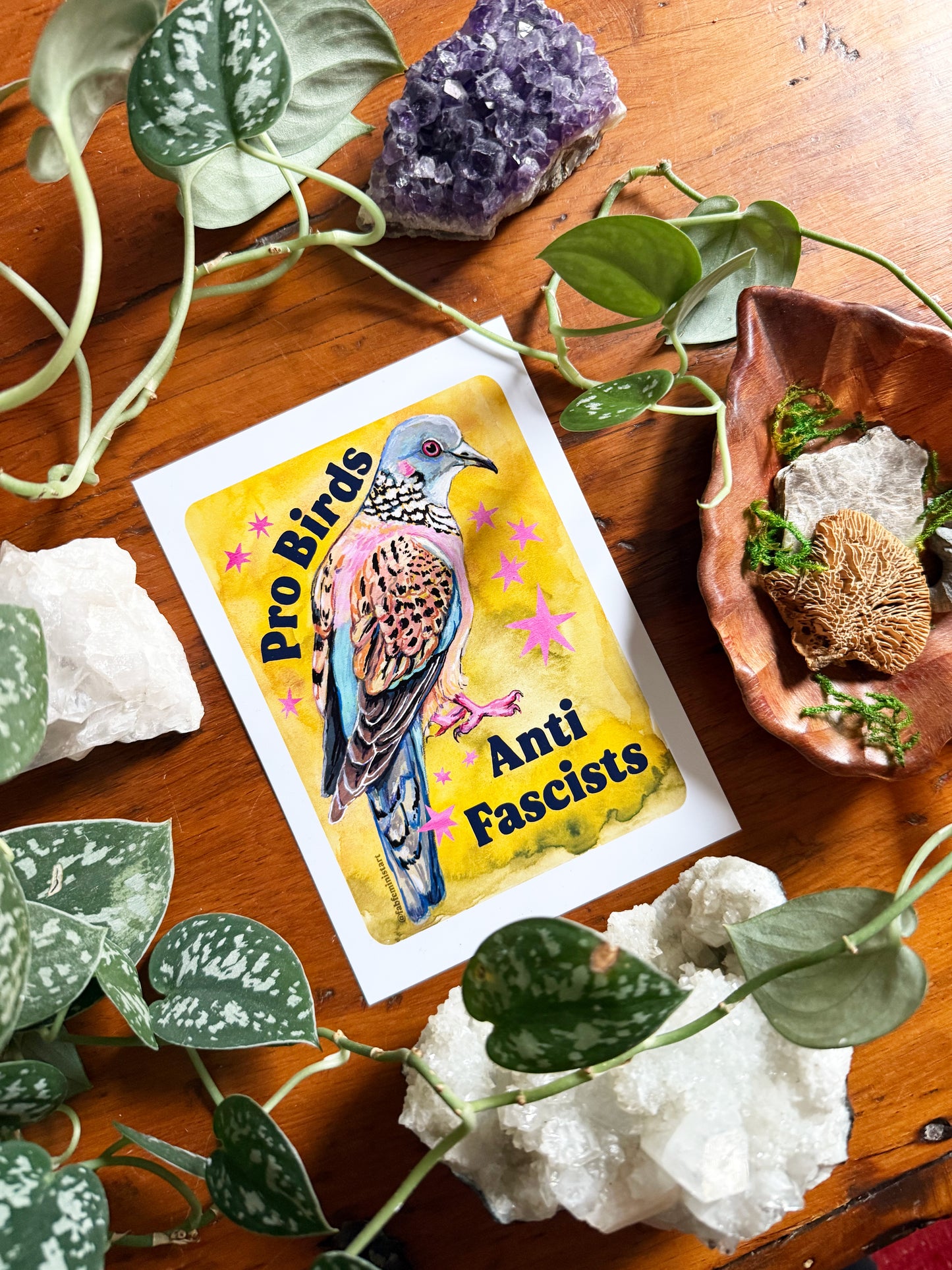 Pro Birds Anti Fascists: feminist art print