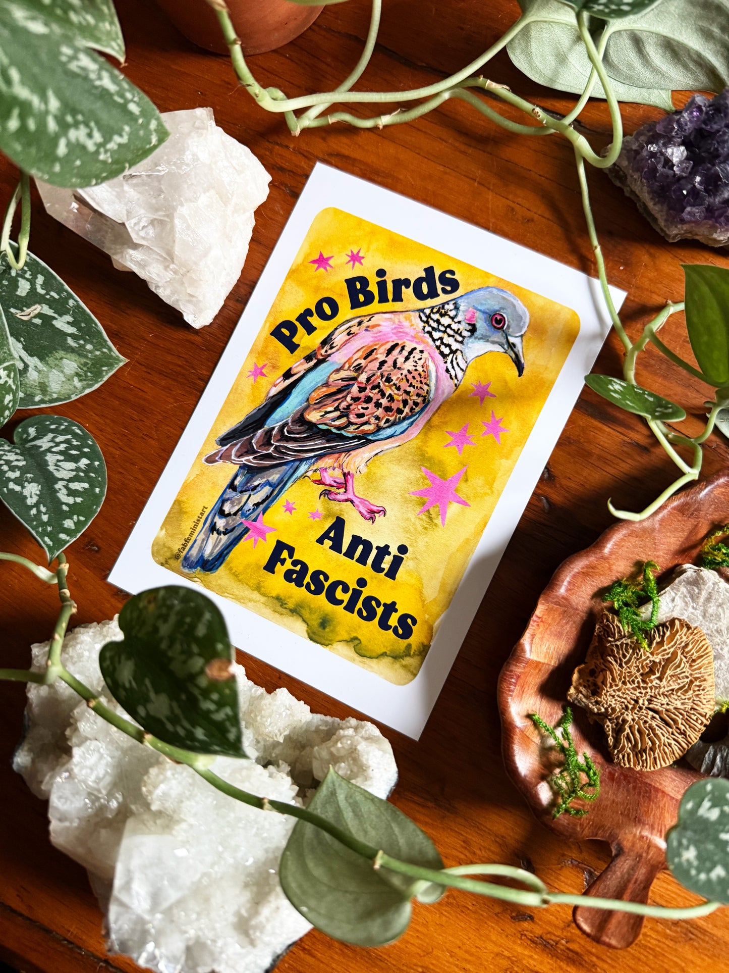Pro Birds Anti Fascists: feminist art print