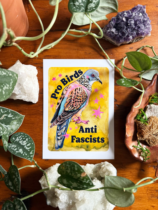 Pro Birds Anti Fascists: feminist art print
