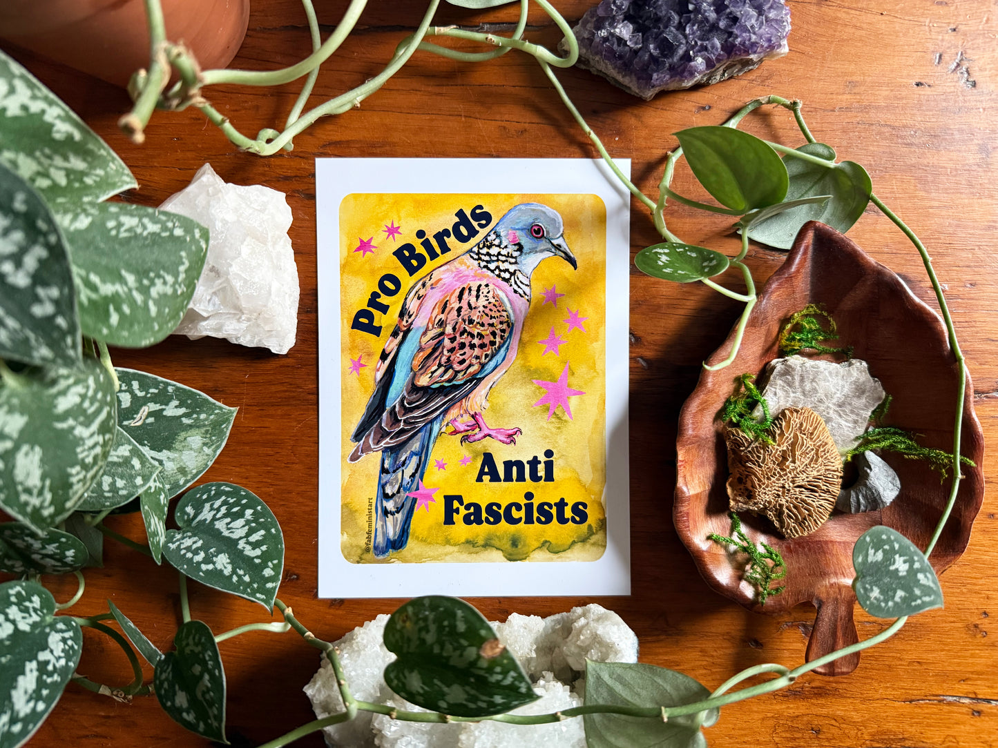 Pro Birds Anti Fascists: feminist art print