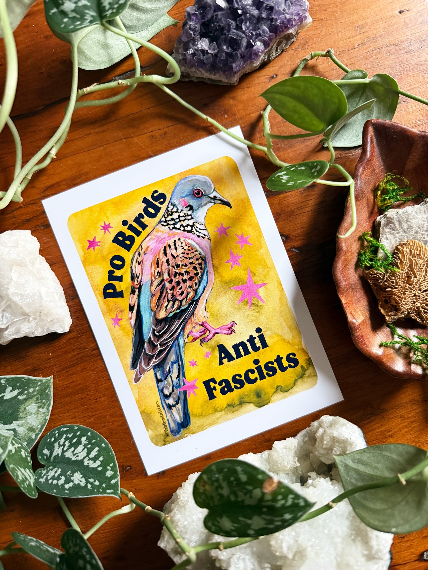 Pro Birds Anti Fascists: feminist art print