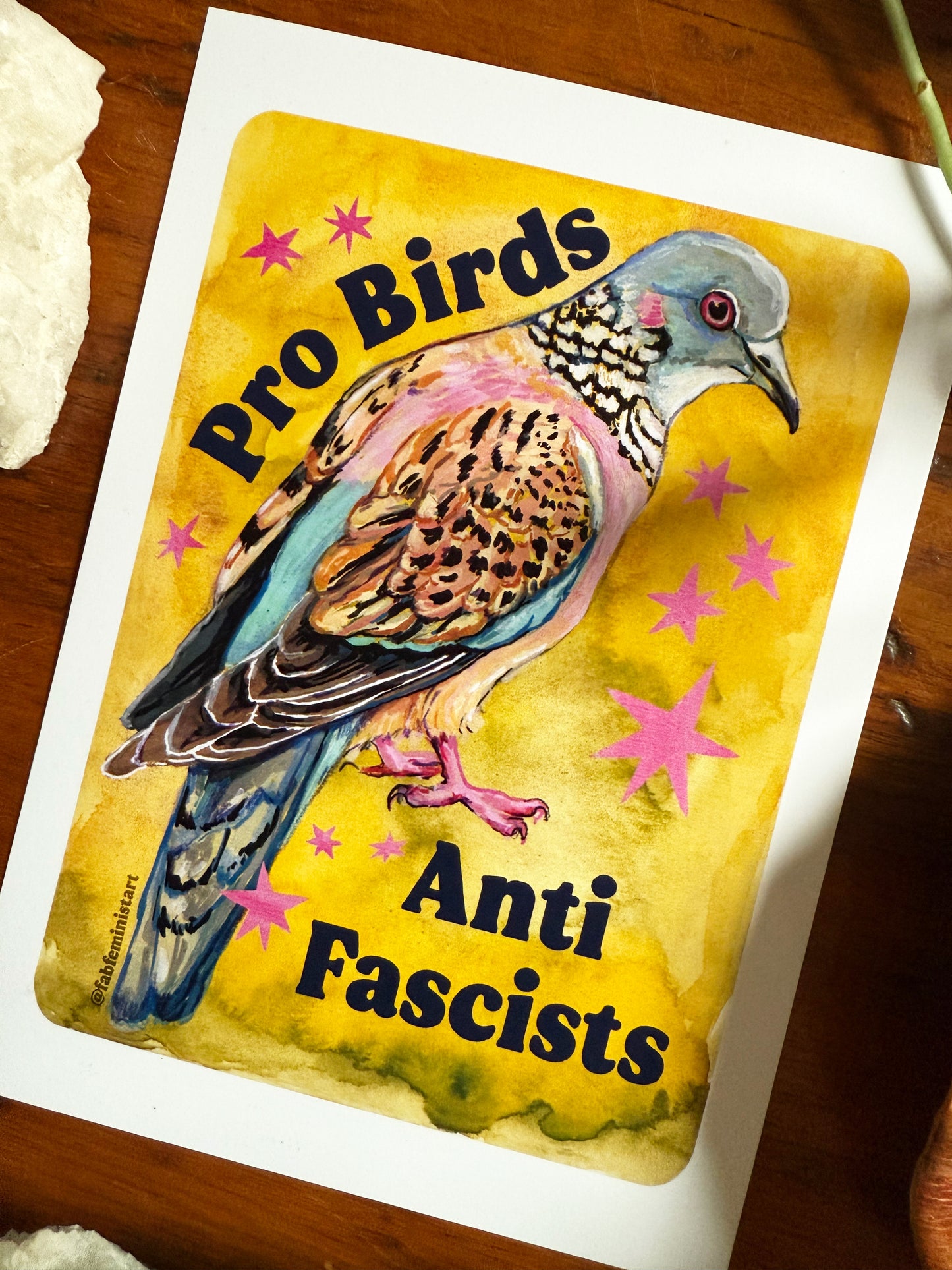 Pro Birds Anti Fascists: feminist art print